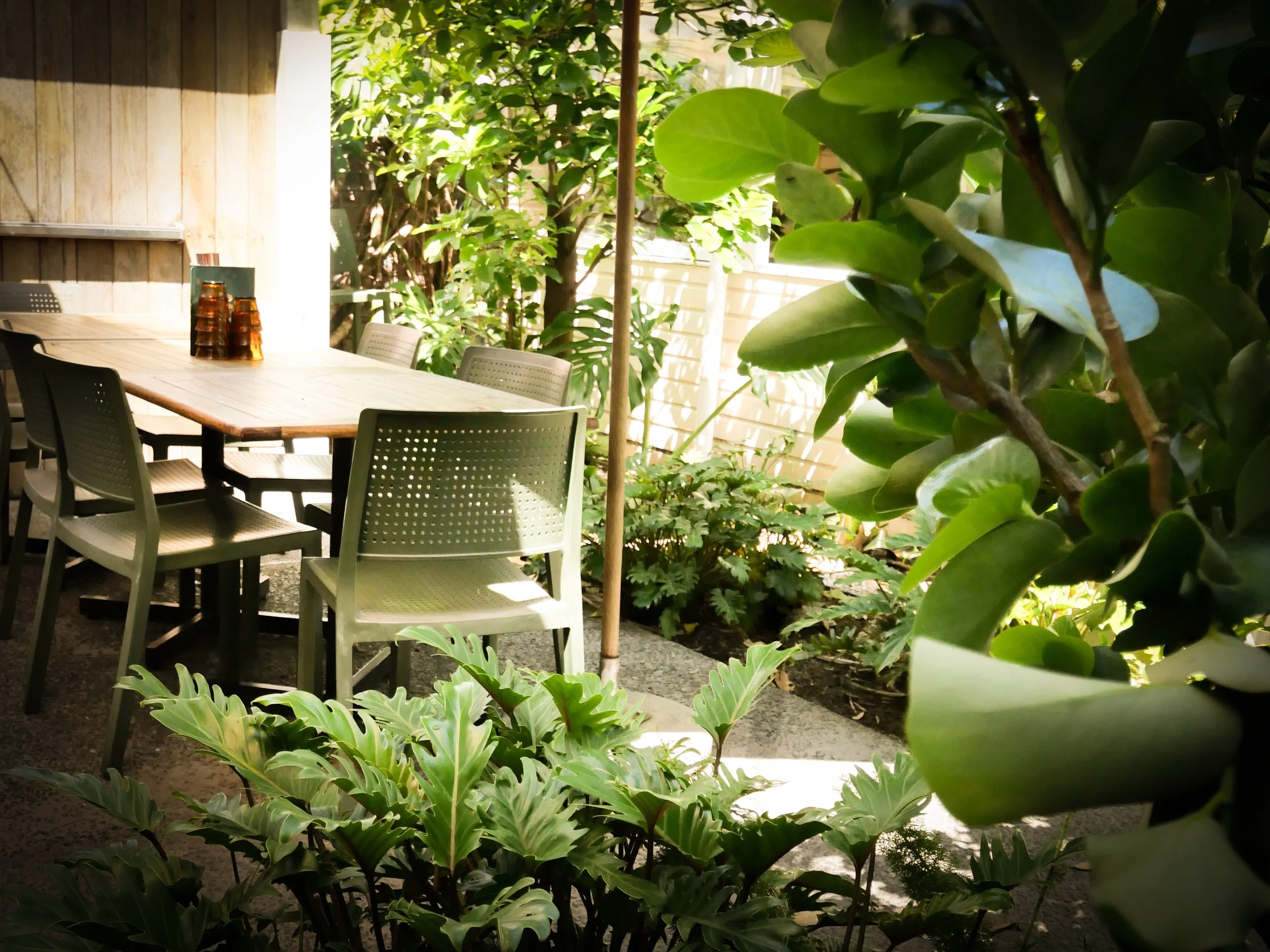Outdoor patio garden design with a large wooden table surrounded by chairs, plants, and greenery, partially shaded with sunlight filtering through the leaves. Papamoa, NZ