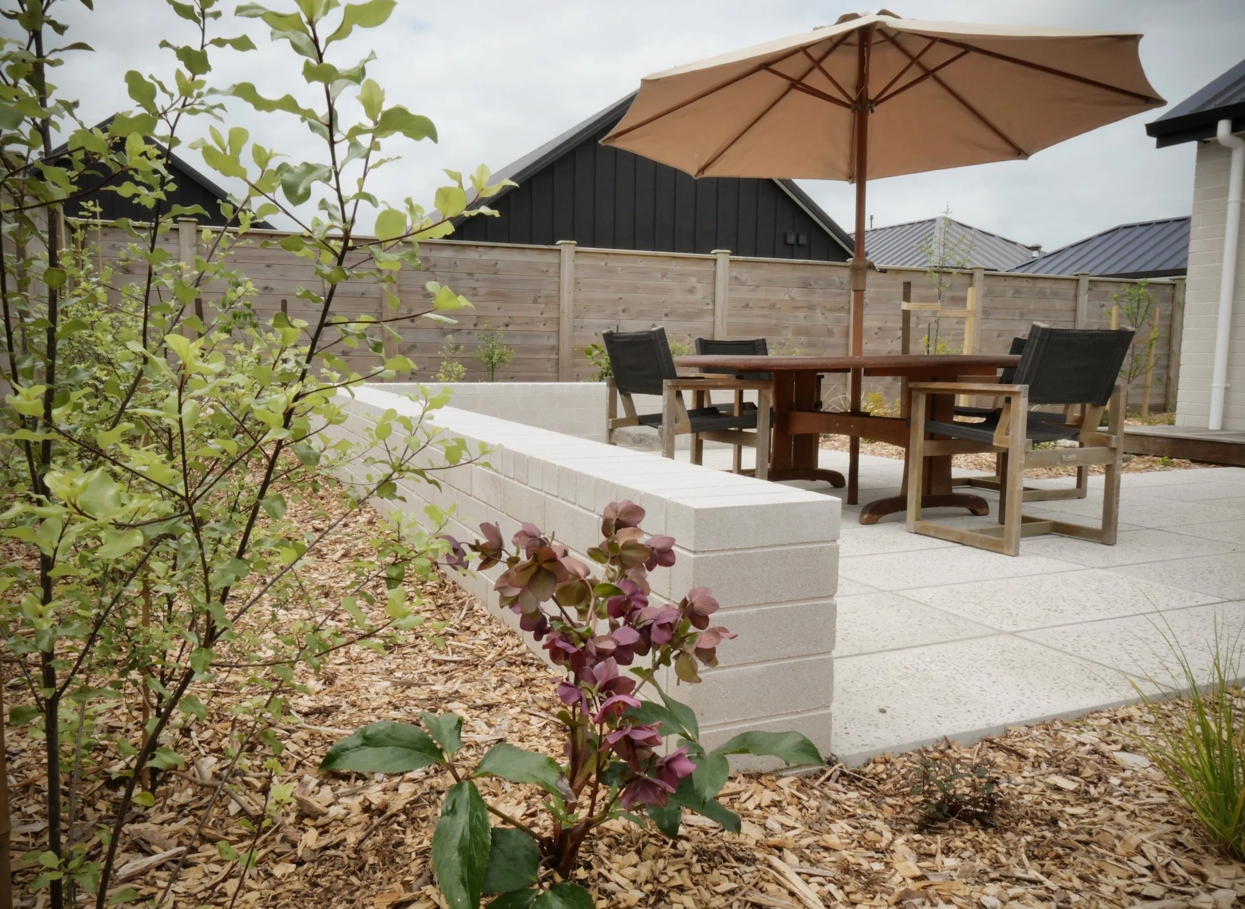 A  modern, fresh courtyard Landscape design featuring a low block wall, Handmade, bespoke concrete pavers and NZ native planting on a small site in Cambridge, New Zealand