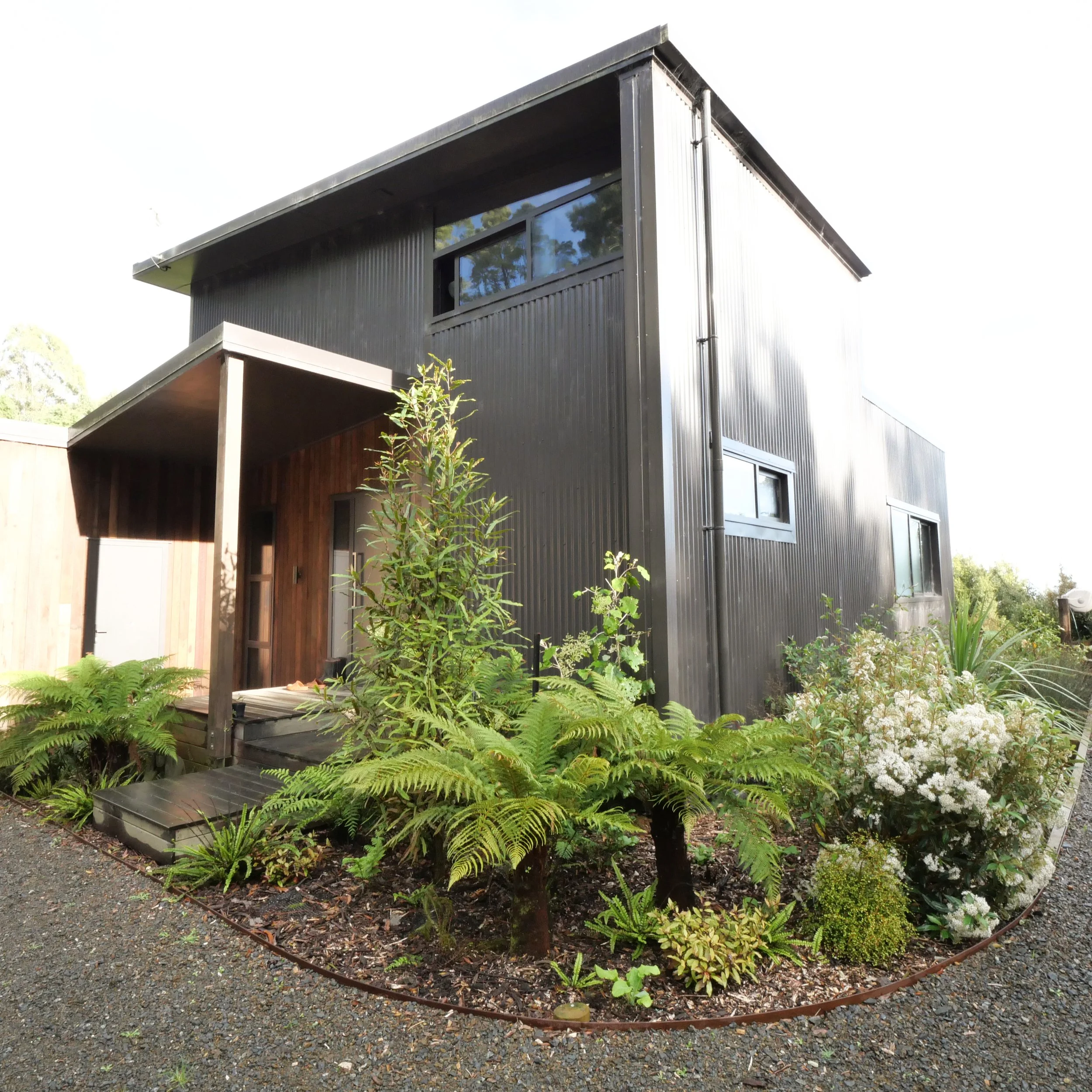 Modern corrugated iron architectural house with lush NZ native fernery garden supporting a multi level front door entry.