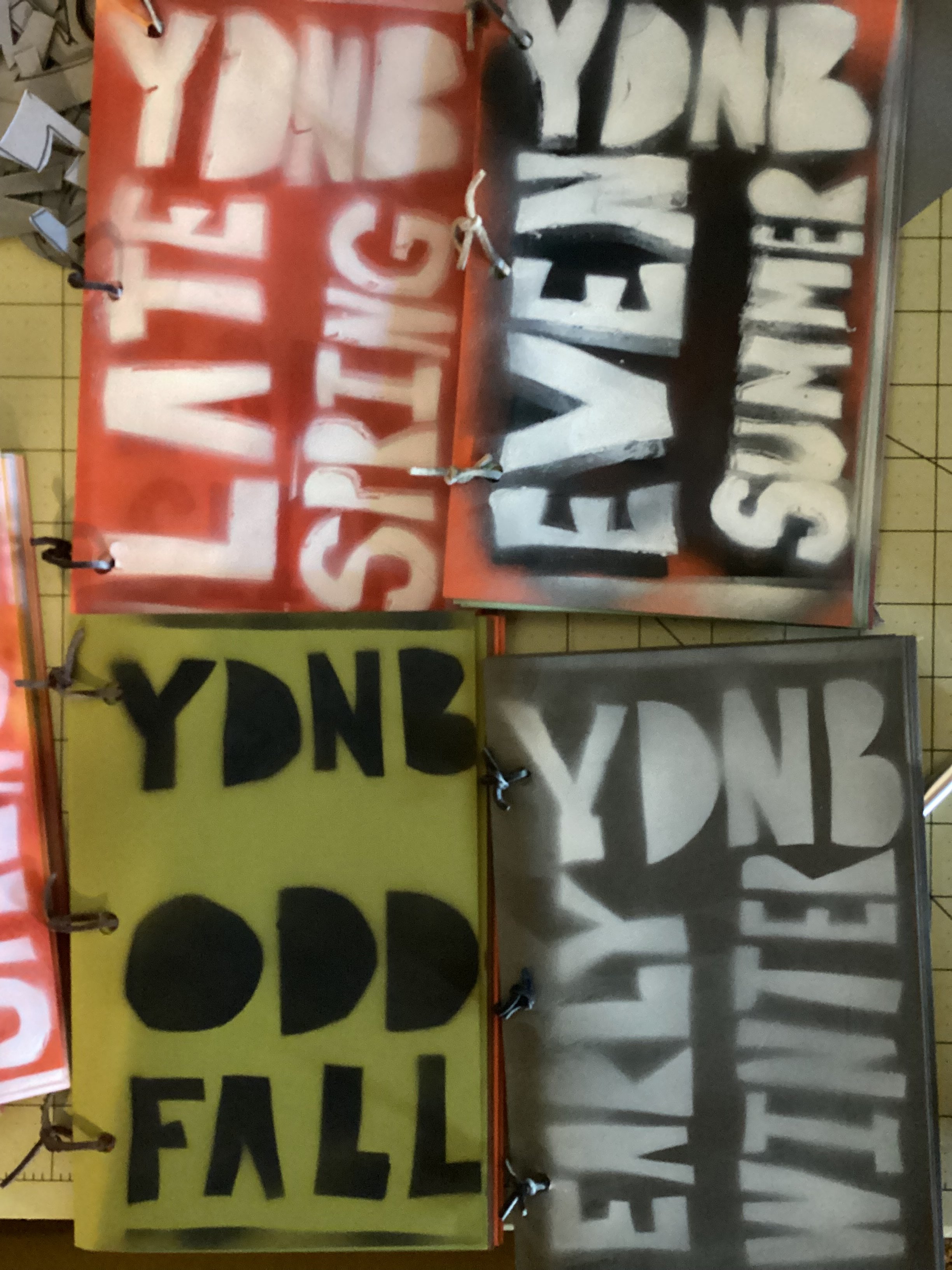 Complete YDNB Small Press Run ebook