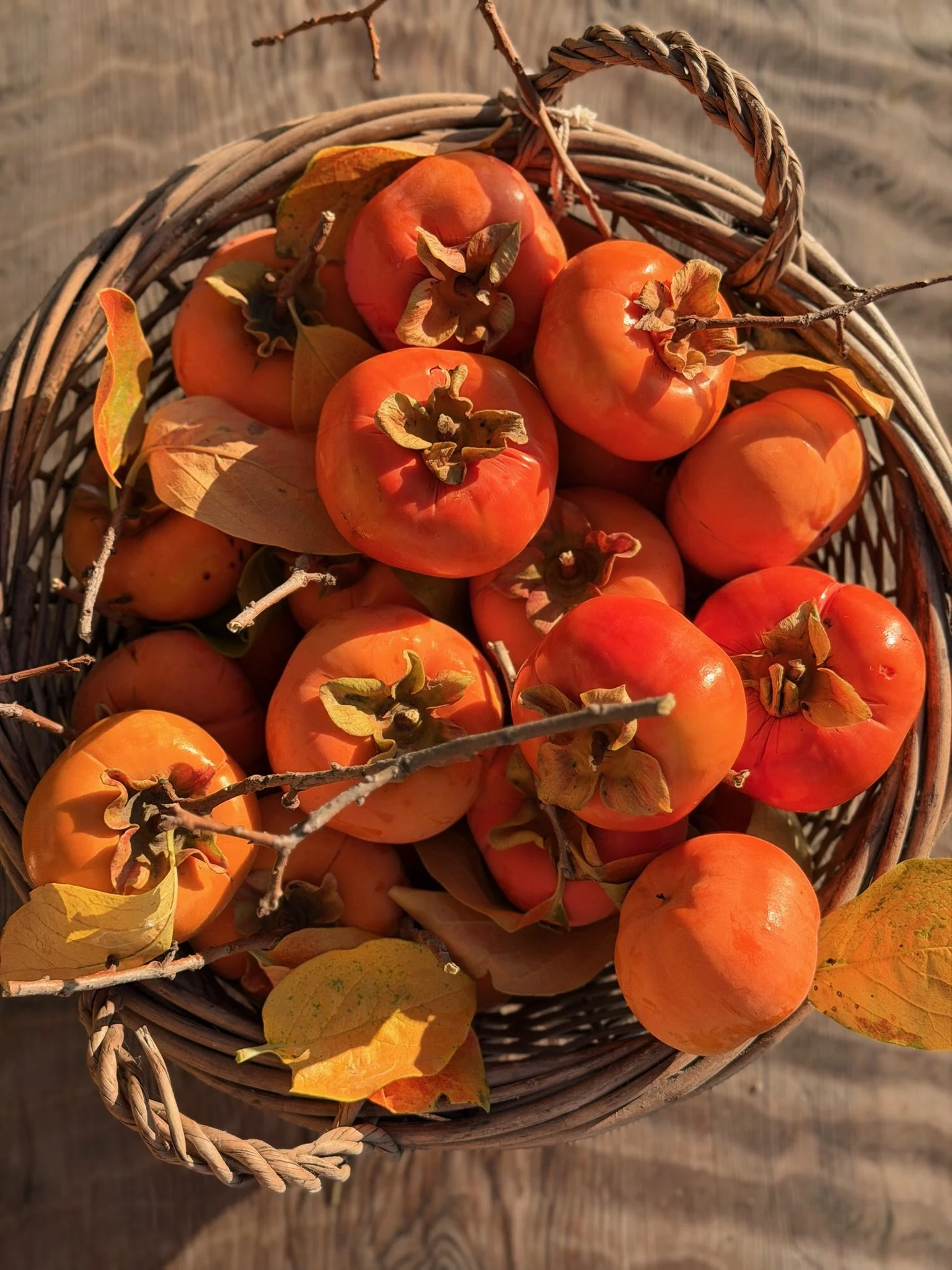 basket of persimmons.jpg