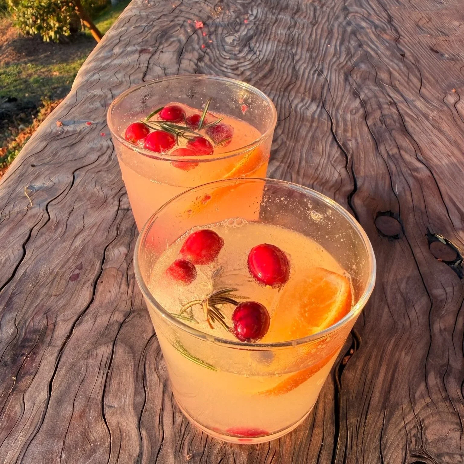 Happy Thanksgiving from the ranch!