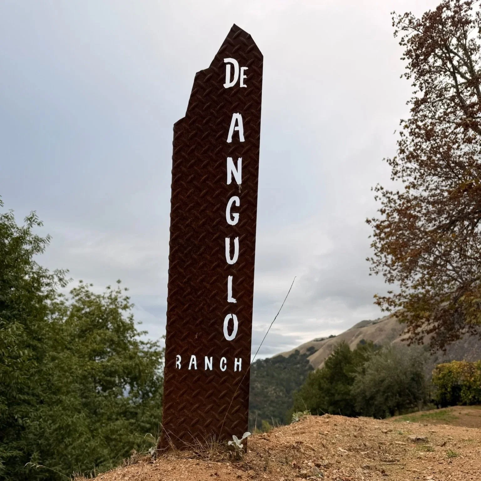 Welcome to our kitchen