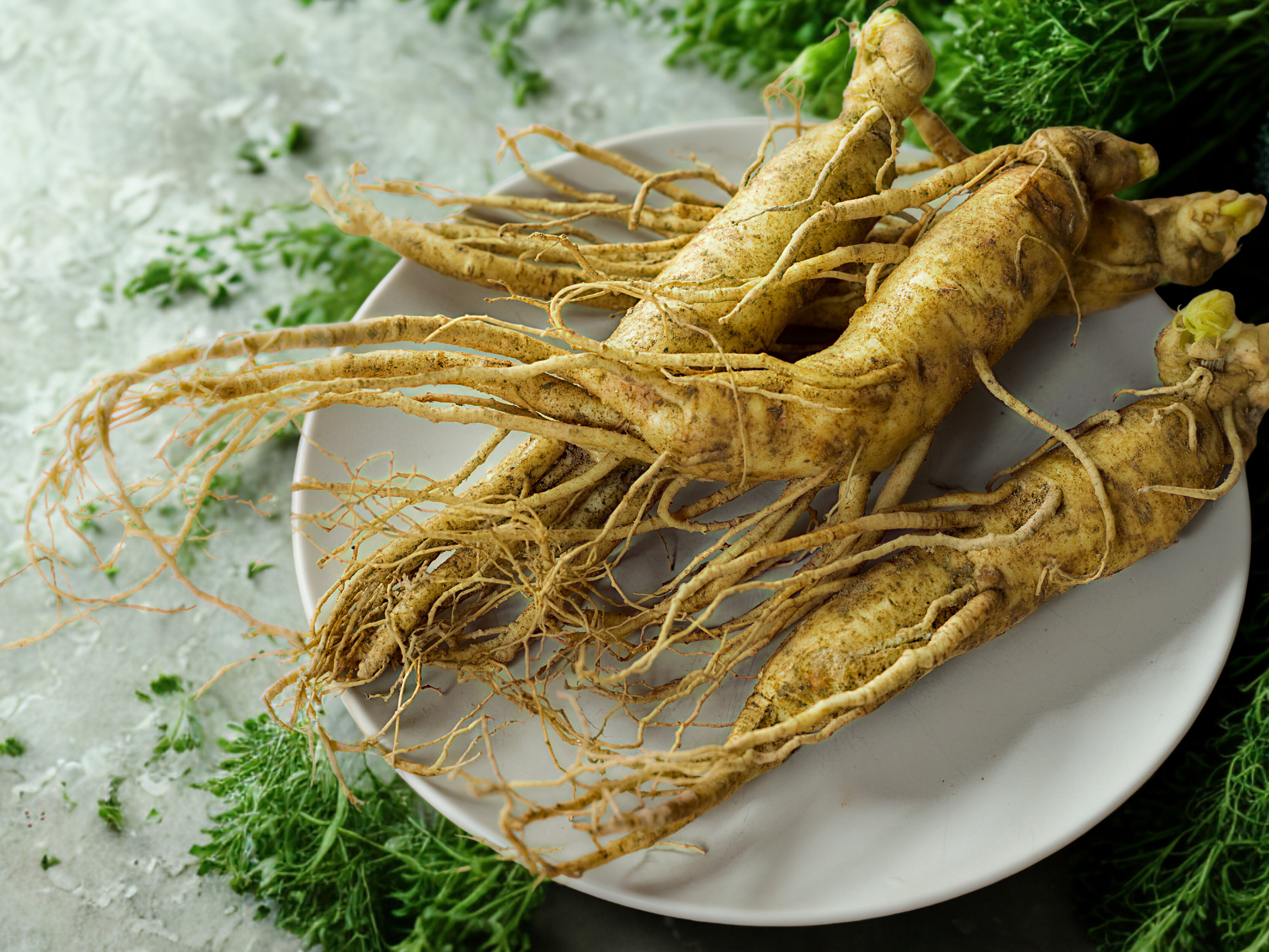 Top 5 Adaptogens to help with Burnout
