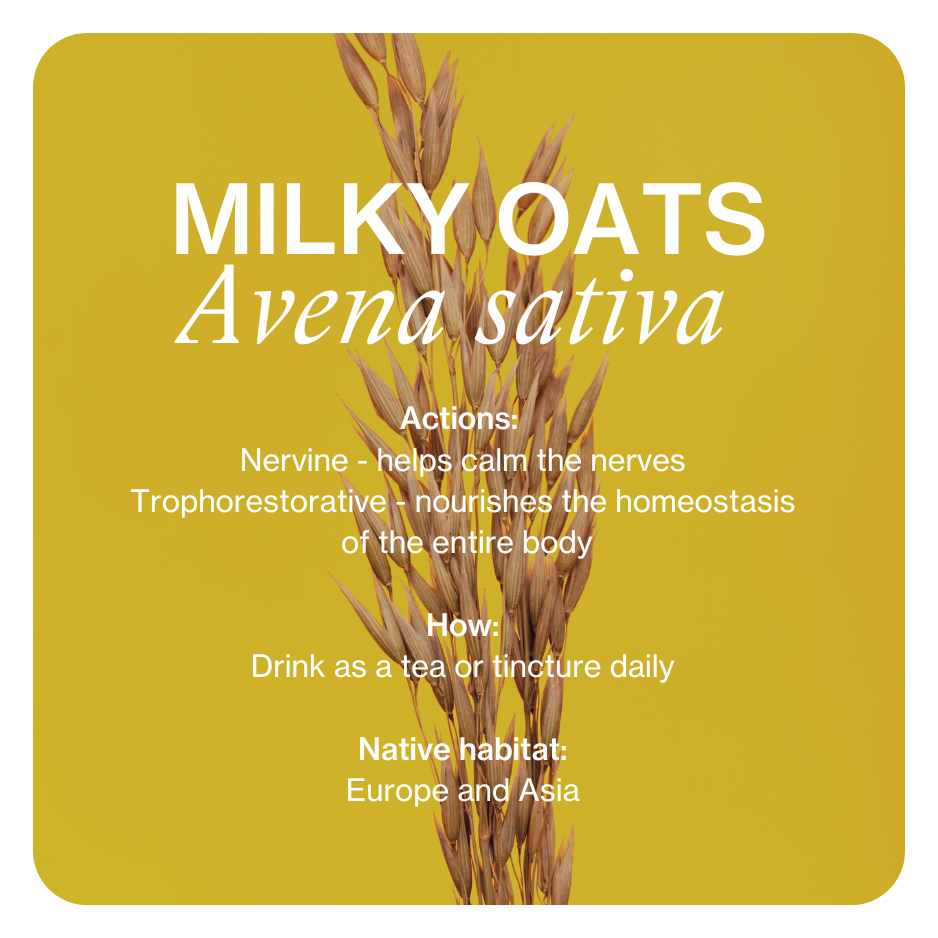 Do you need a certificate to practice herbalism?