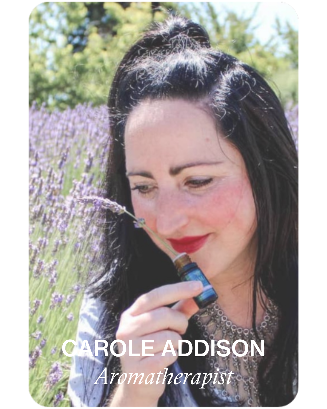 Carole Addison - Teachers Profile.png
