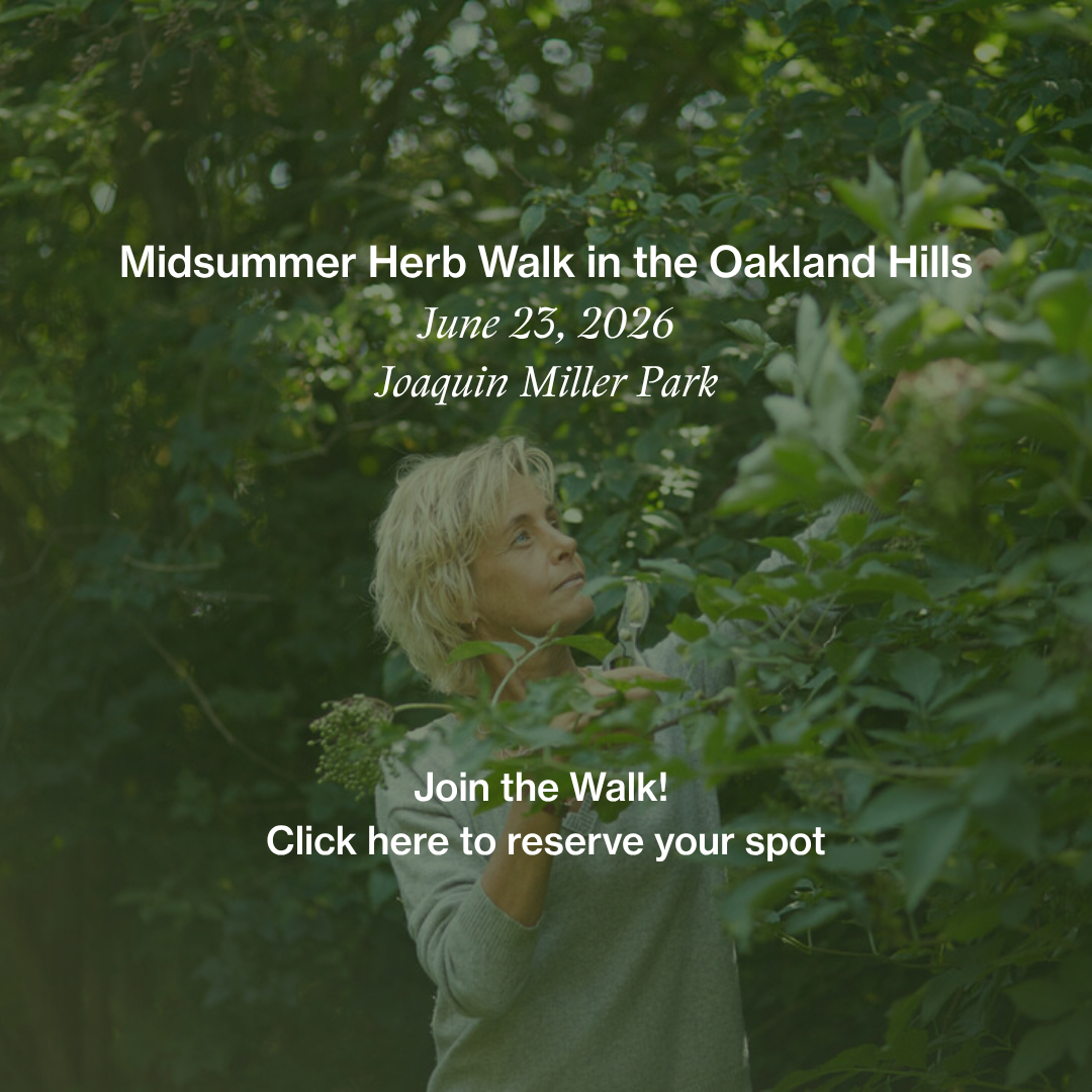 Midsummer Herb Walk in the Oakland Hills