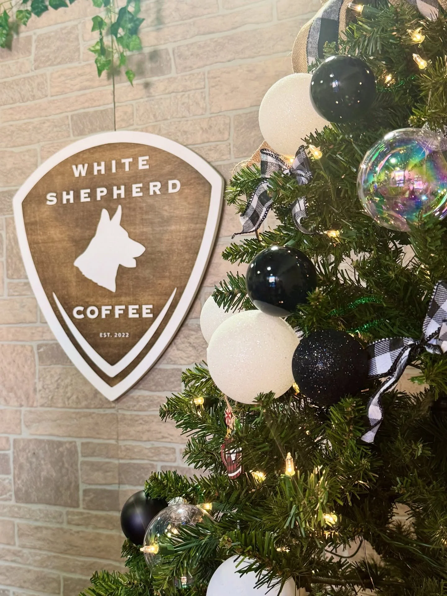 Christmas has come to our Spring Hill shop✨⛄️ 

#whiteshepherdcoffee #coffeelovers #coffeetruck #coffeetrailer #coffeeshop #springhilltn #tollgatevillage #baristalife #fyp #coffeeislife #coffeeplease #christmastime #christmasdecor