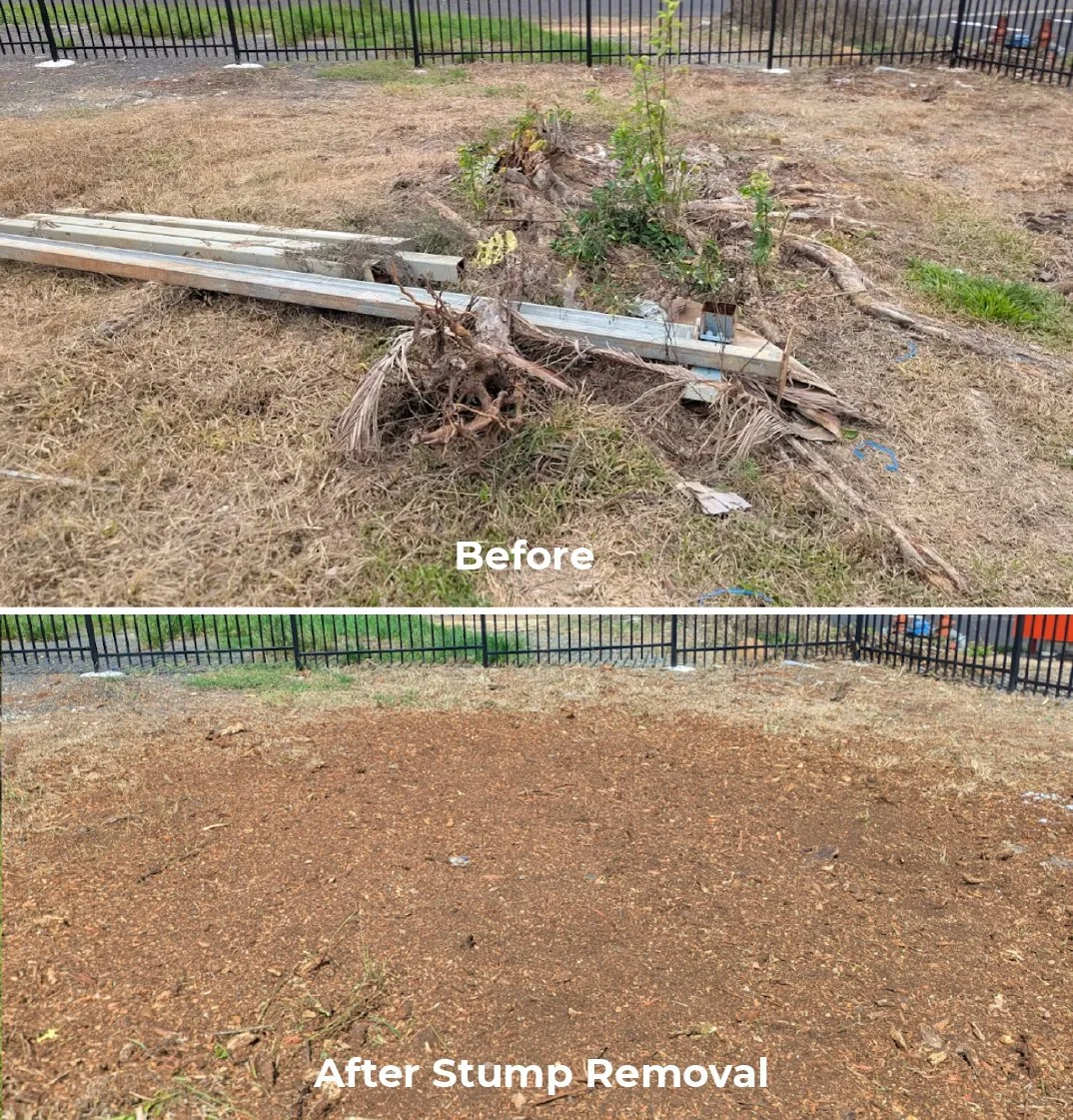 BEFORE & AFTER 02.jpg