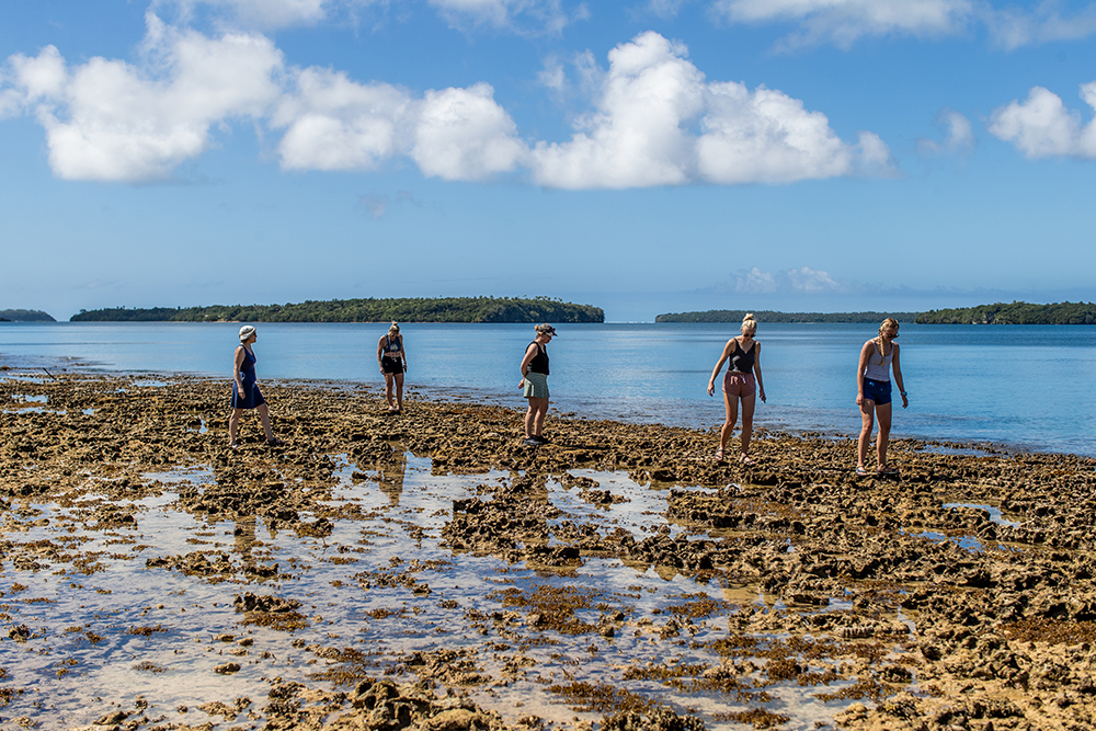 Guests tide pooling 