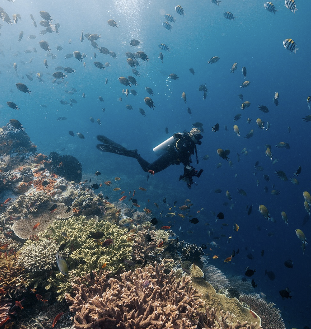 A scuba diver exploring a vibrant coral reef surrounded by colorful fish in the ocean.