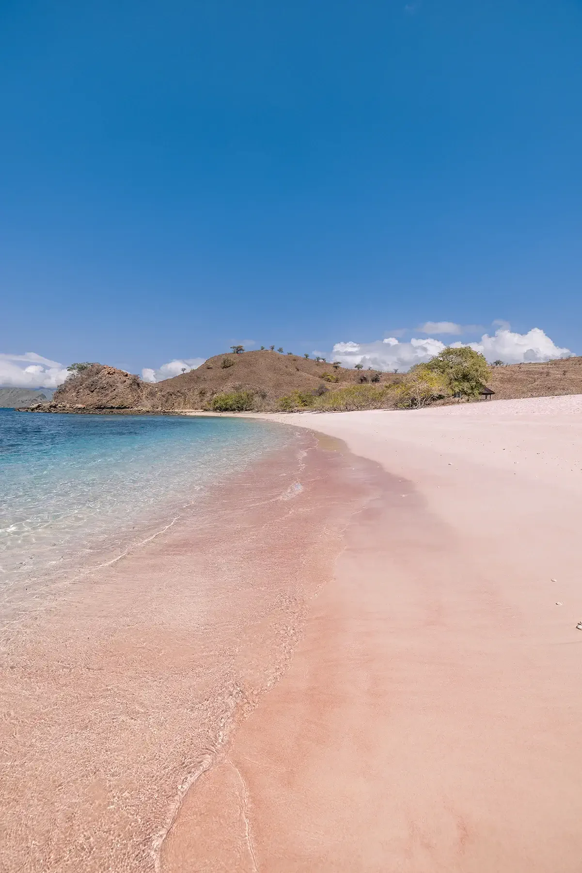Komodo Pink Beach