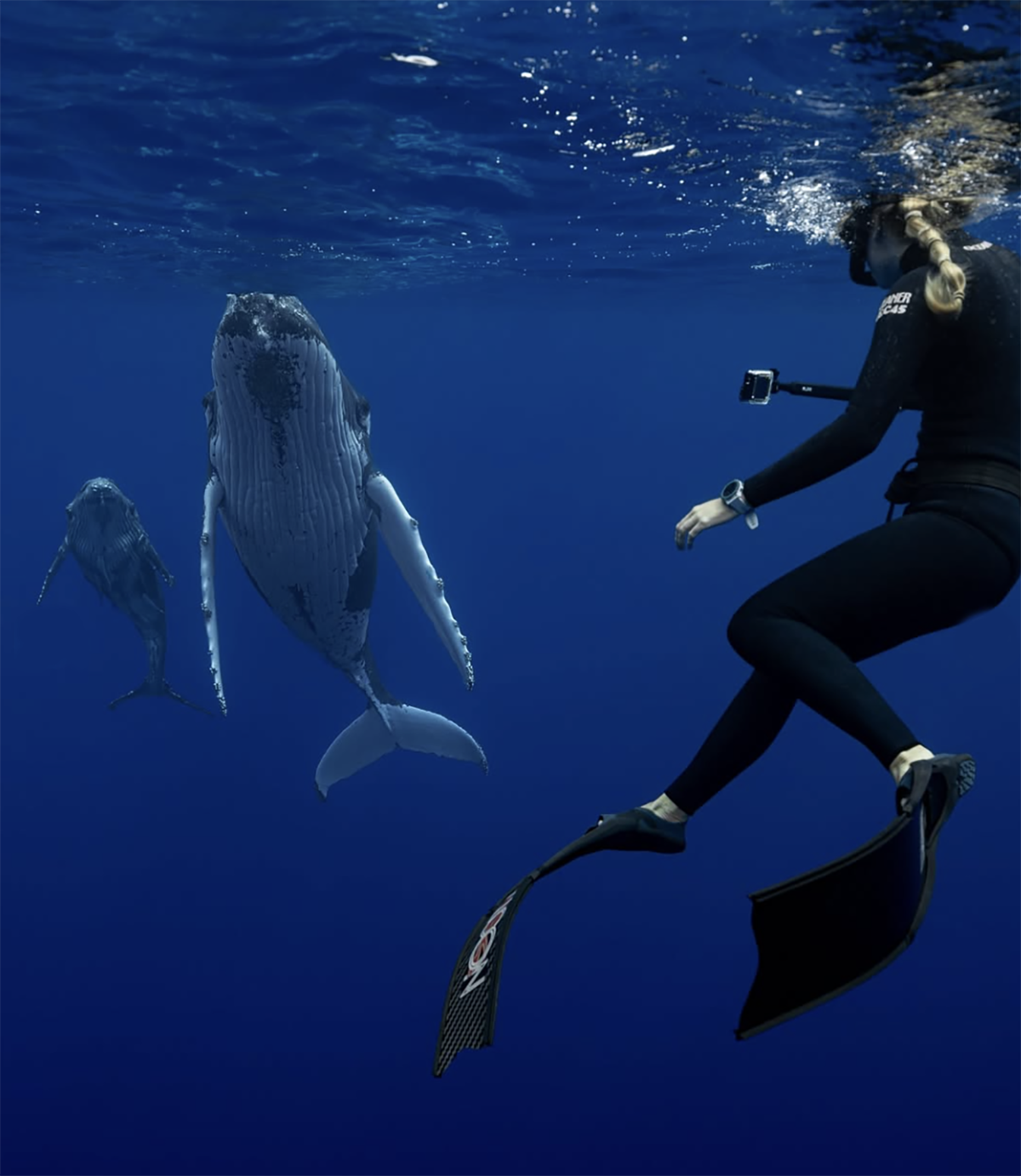 Freediver with Humpback Whale