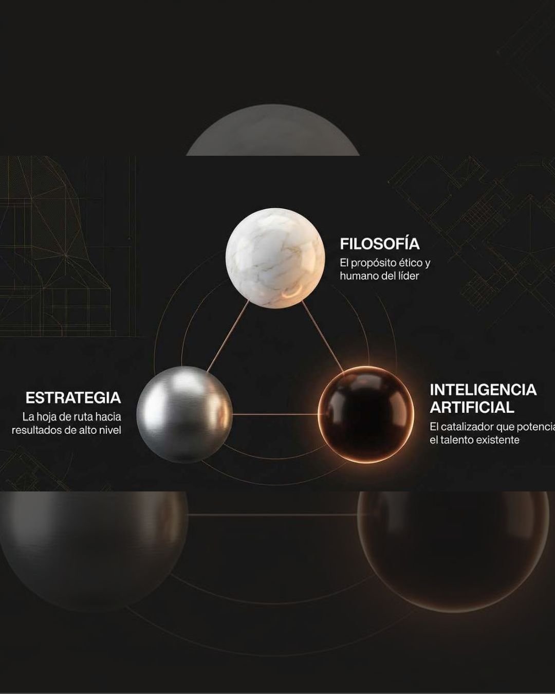 El Nuevo Líder | Executive Training