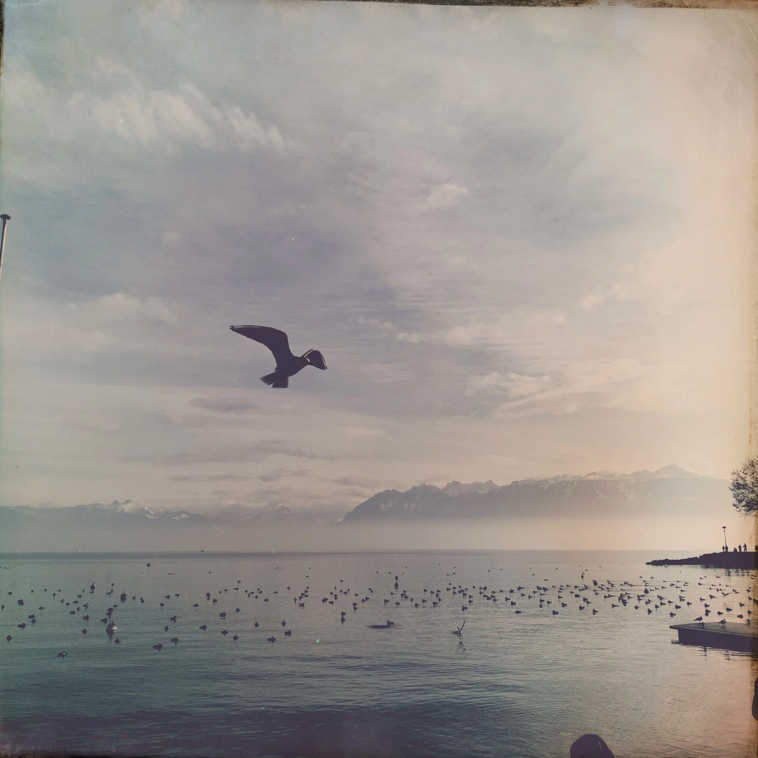 Rejigger Intensive - Lausanne&nbsp;