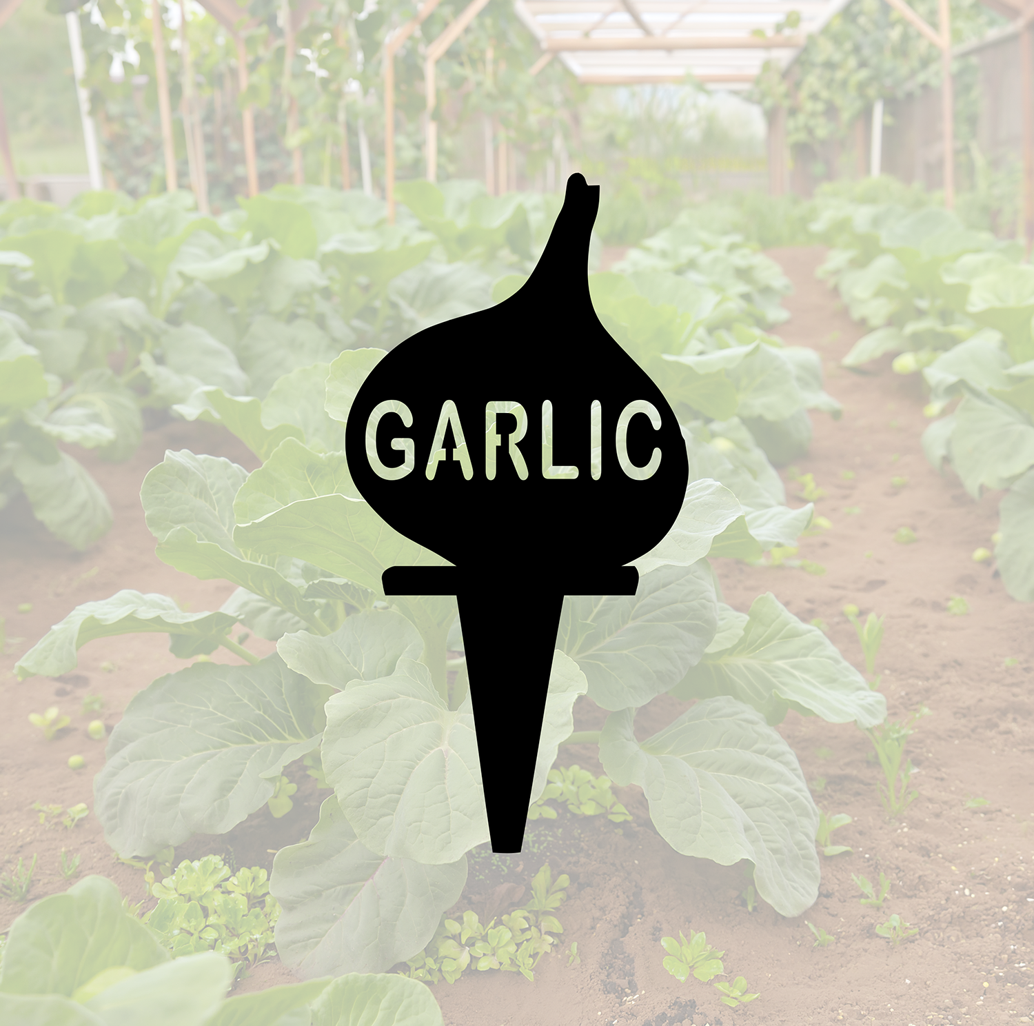 ITEM 157-7 Garlic.png