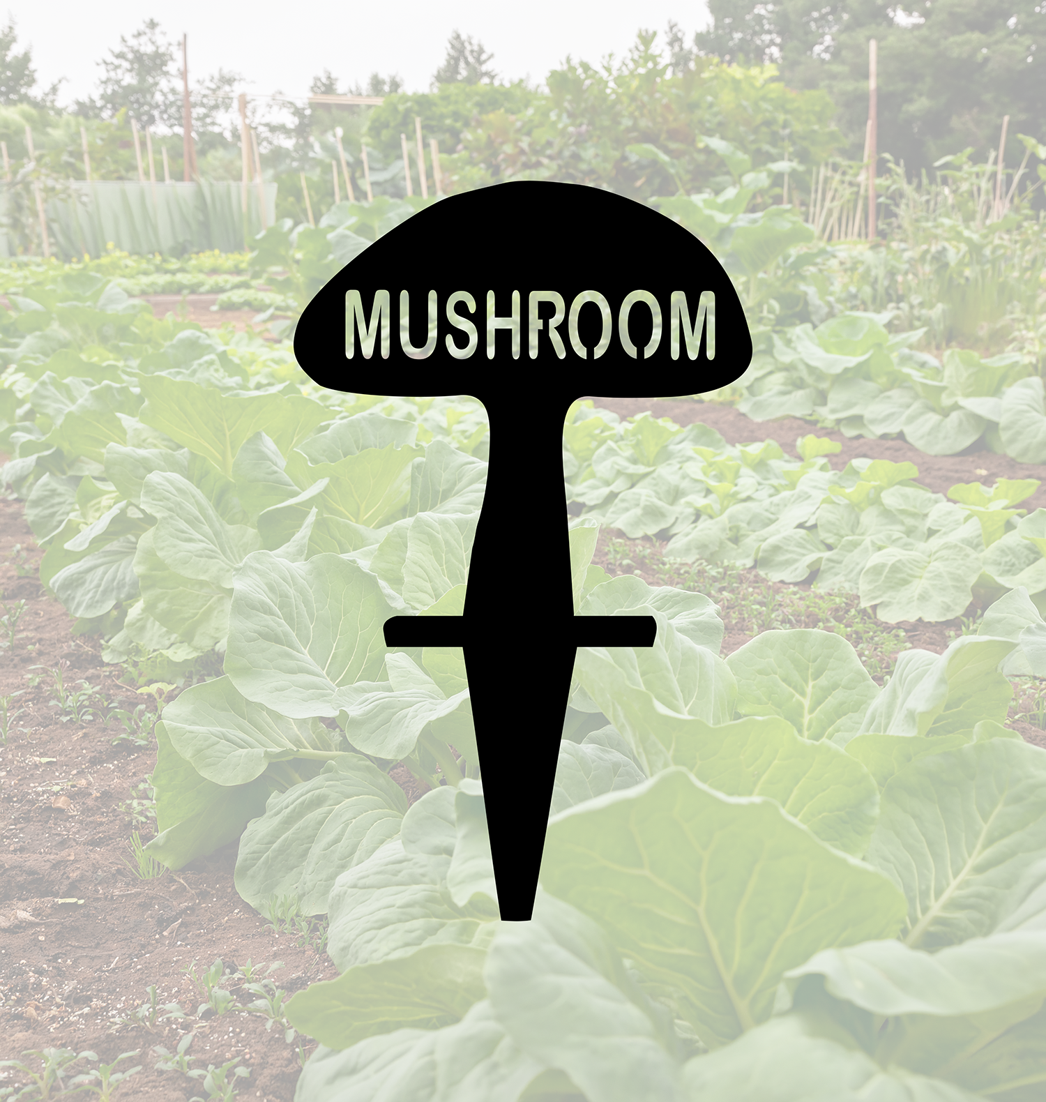 ITEM 157-8 Mushroom.png