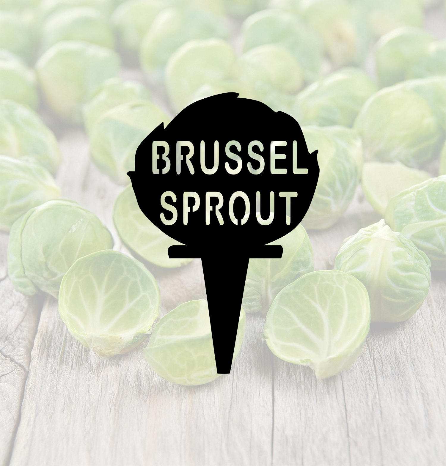 ITEM 157-4 Brussel Sprout.png
