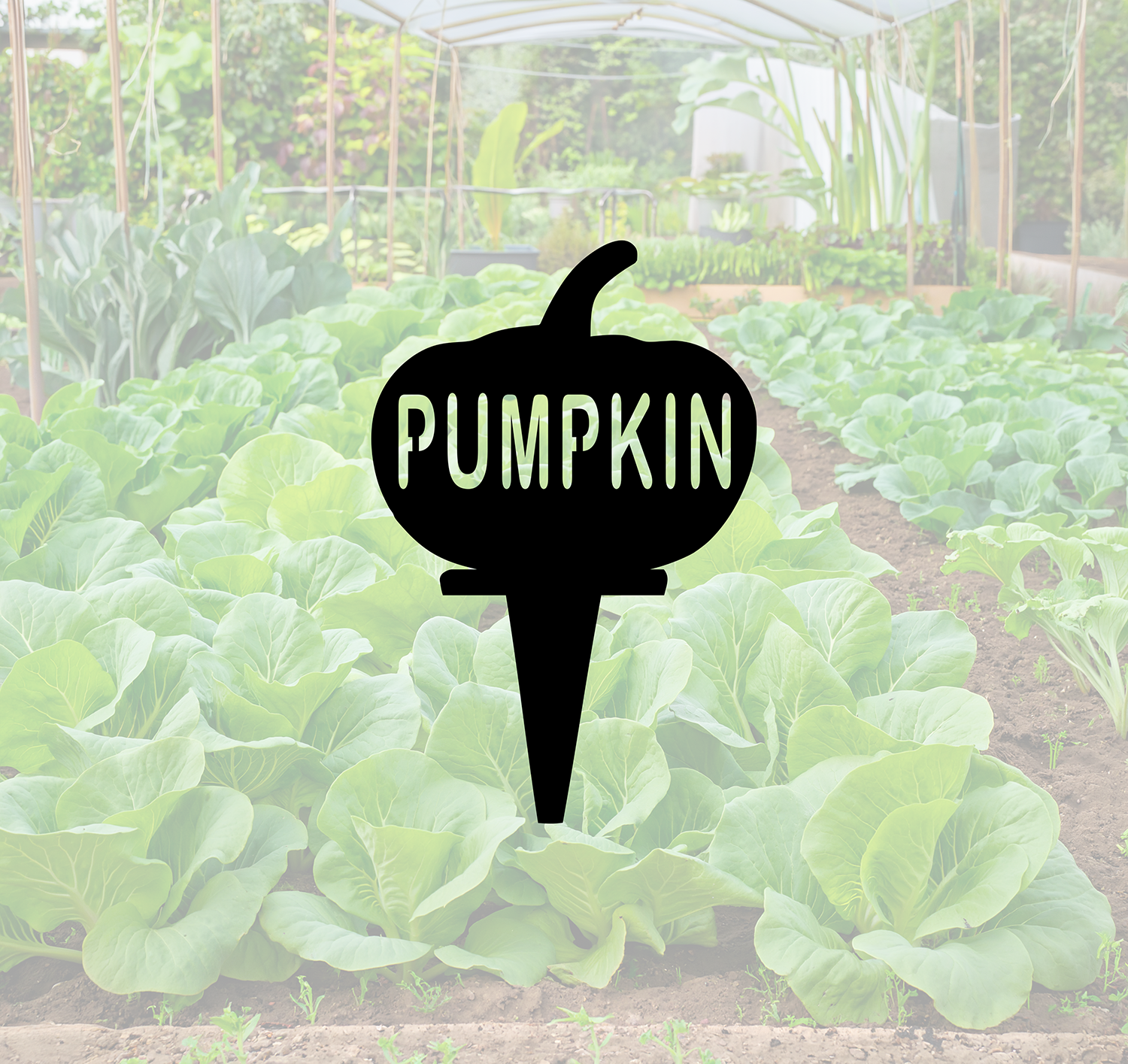 ITEM 157-11 Pumpkin.png