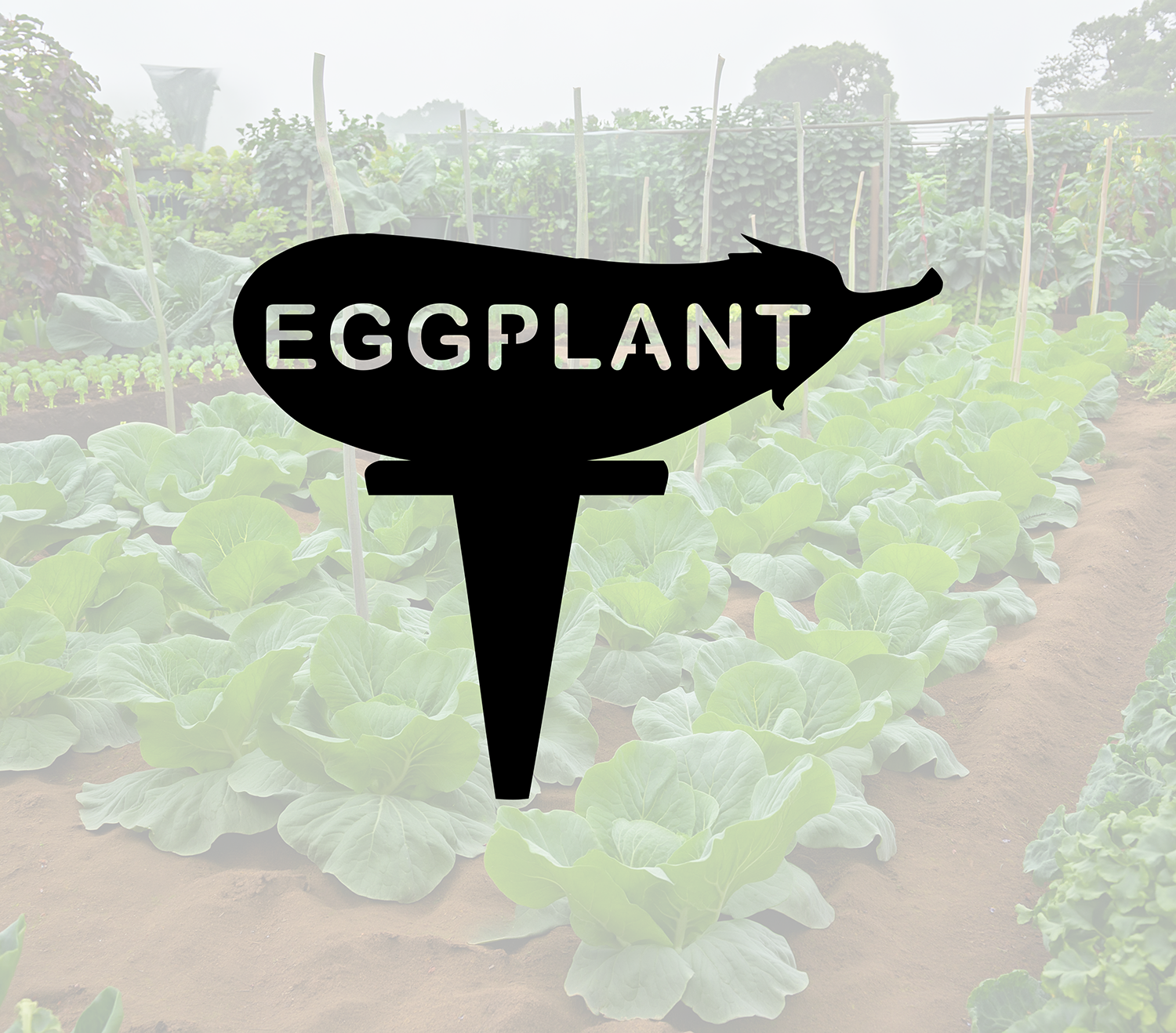 ITEM 157-6 Eggplant.png