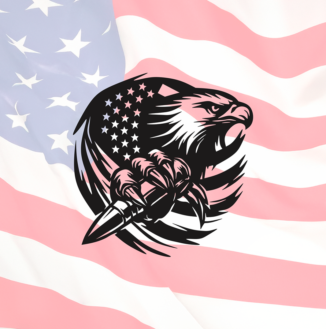 ITEM 116 - 24"W x 24.5"H - Eagle, Flag, Bullet