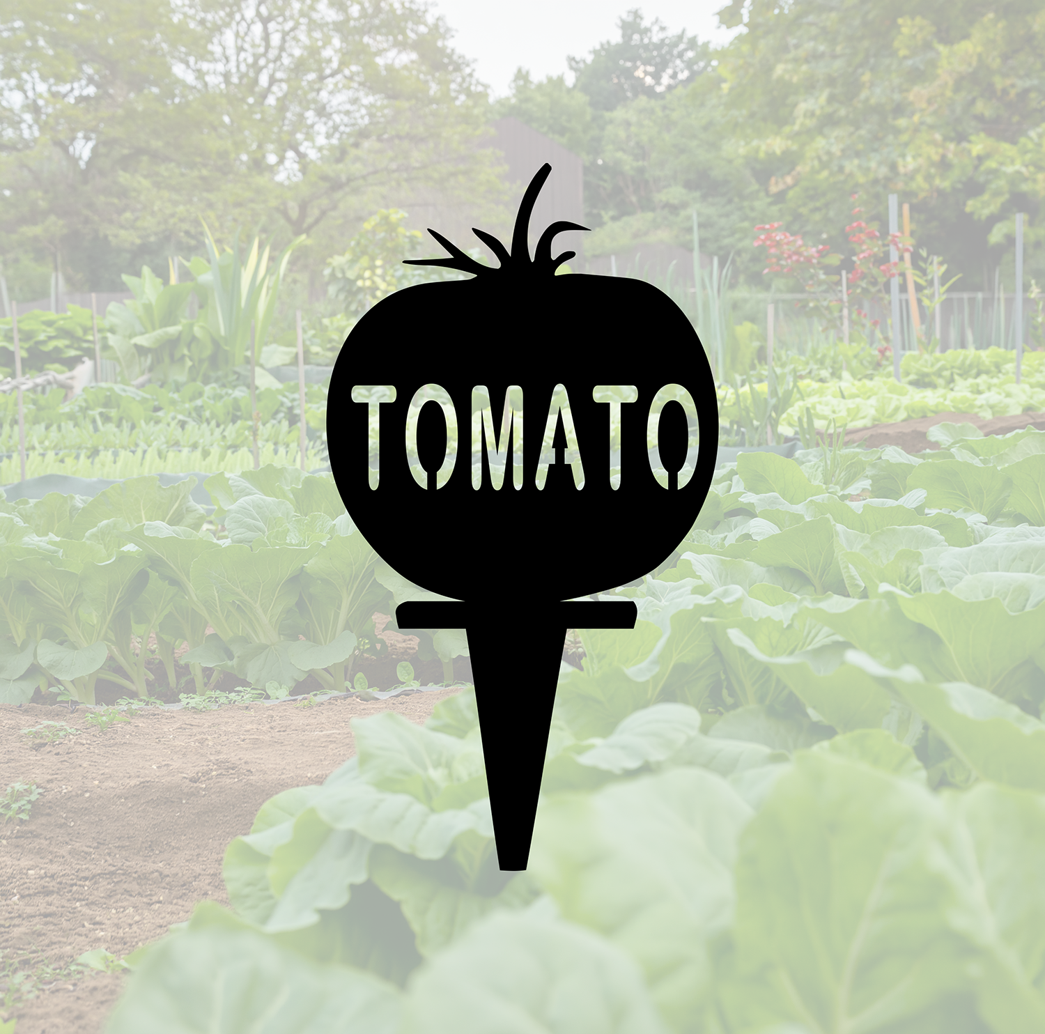 ITEM 157-13 Tomato.png