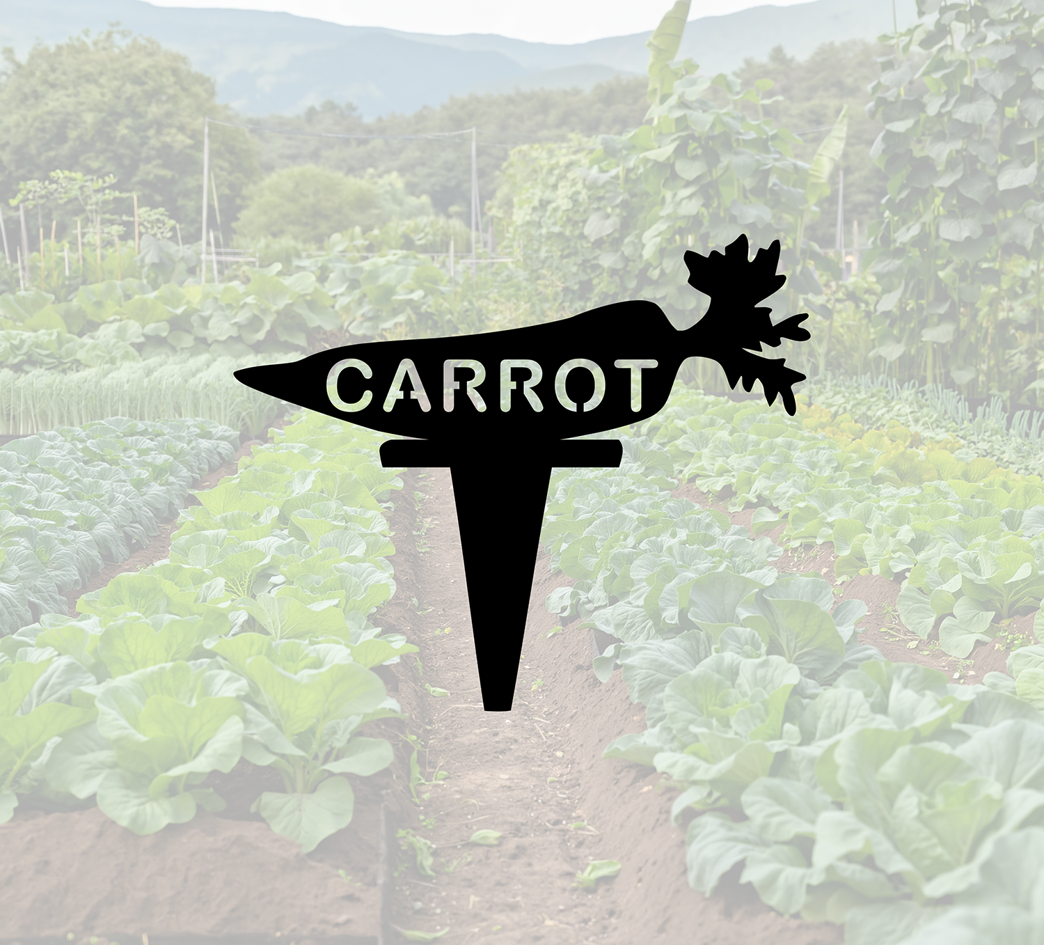 ITEM 157-5 Carrot.png