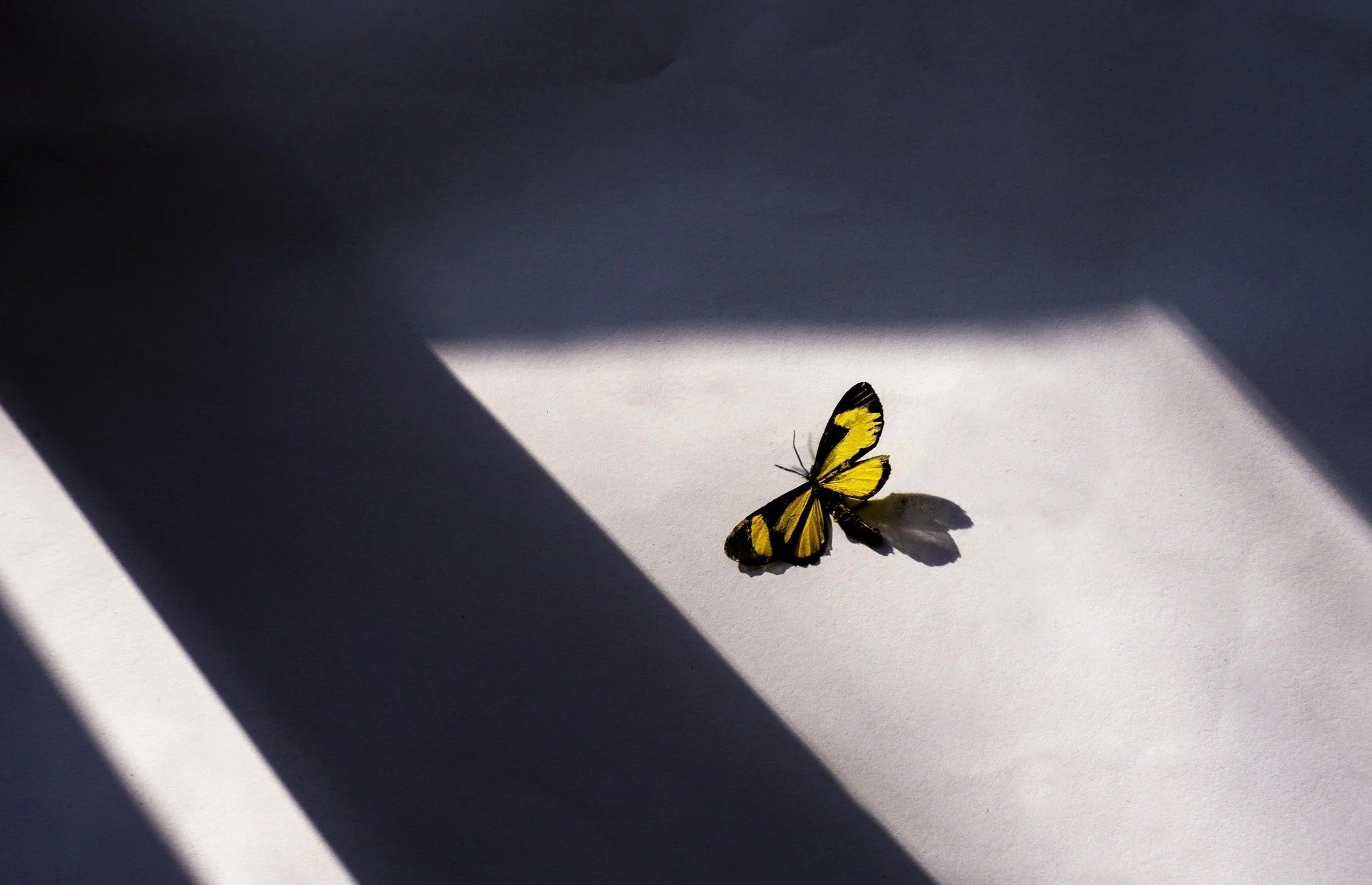 5 ways fear of being seen shows up in your business