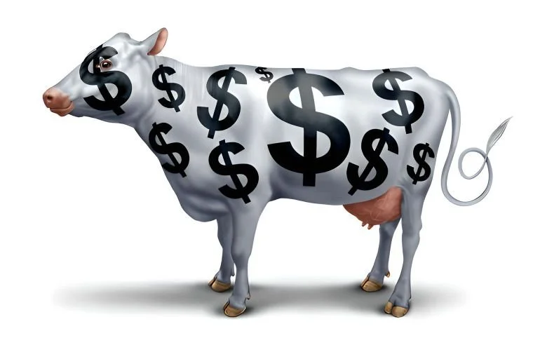 The Cash Cow: Building or Fix & Holding Short-Term Rental 1–4 Unit Properties