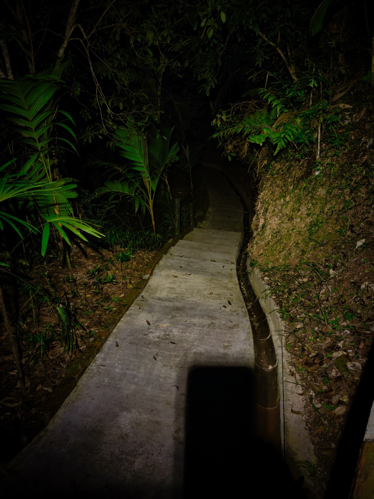 Short night hike to see some lights. The view from the funicular station had too much light pollution, so I set off about 1/2 mile away and picked one of the easier paved trails that on the map, came to a clearing. I was not disappointed #malaysia #p