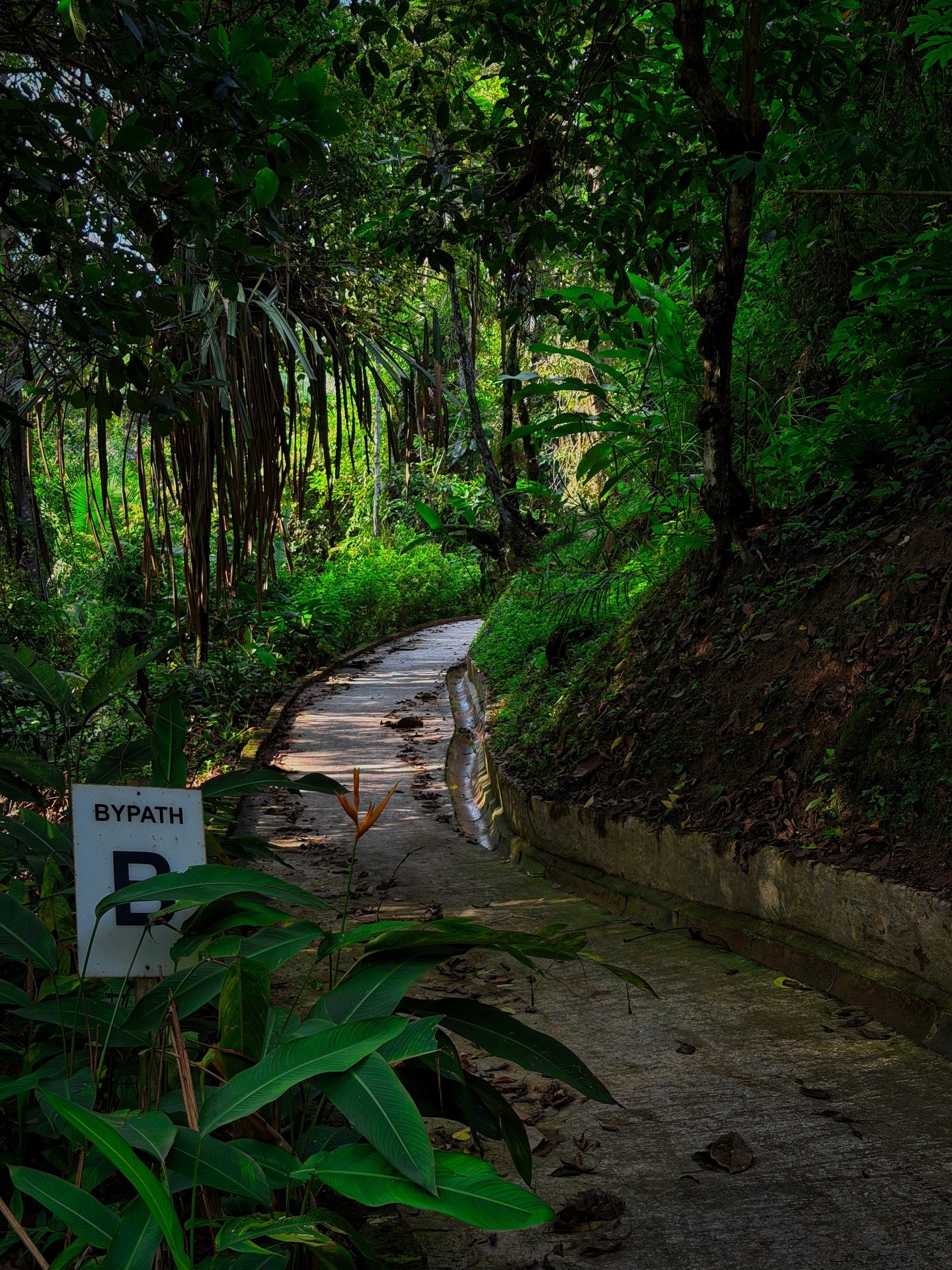 A lot of trails on Penang Hill are paved. They have to be, to endure the hikers and heavy rain that are a part of this island. By my senior citizen standards, many of them are &lsquo;easy&rsquo;. They follow old British Colonial viaduct, carriage roa