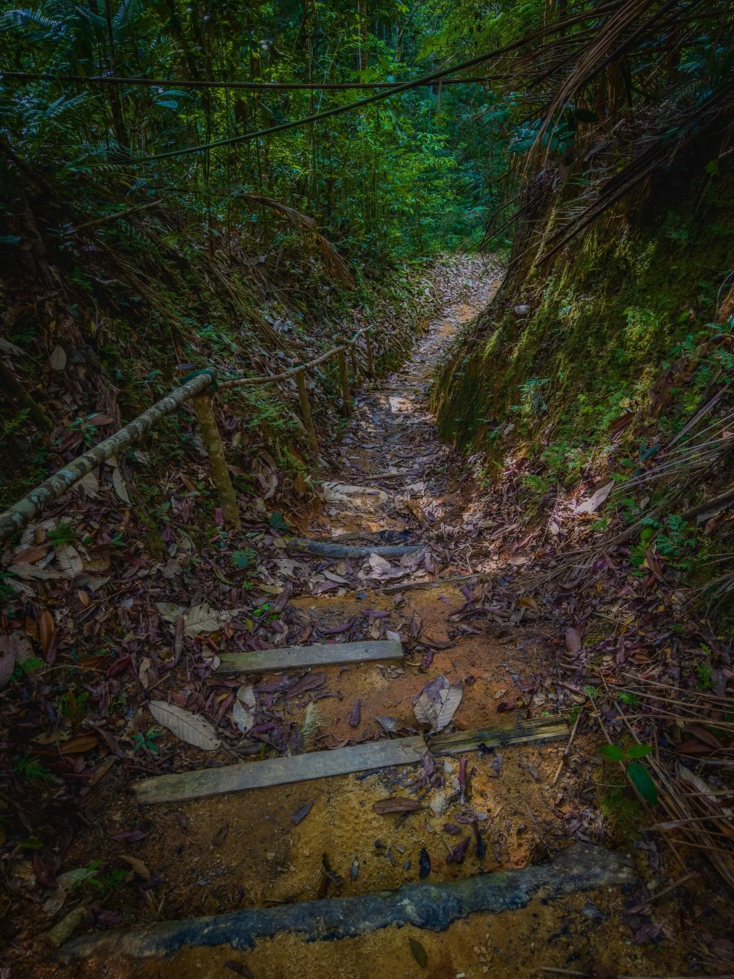 The Moniot Trail is one of those quietly remarkable places that doesn&rsquo;t shout for your attention. It&rsquo;s been here since 1825, nearly two full centuries, making it one of the oldest tracks on Penang Hill. It was named after Jules M. Moniot,