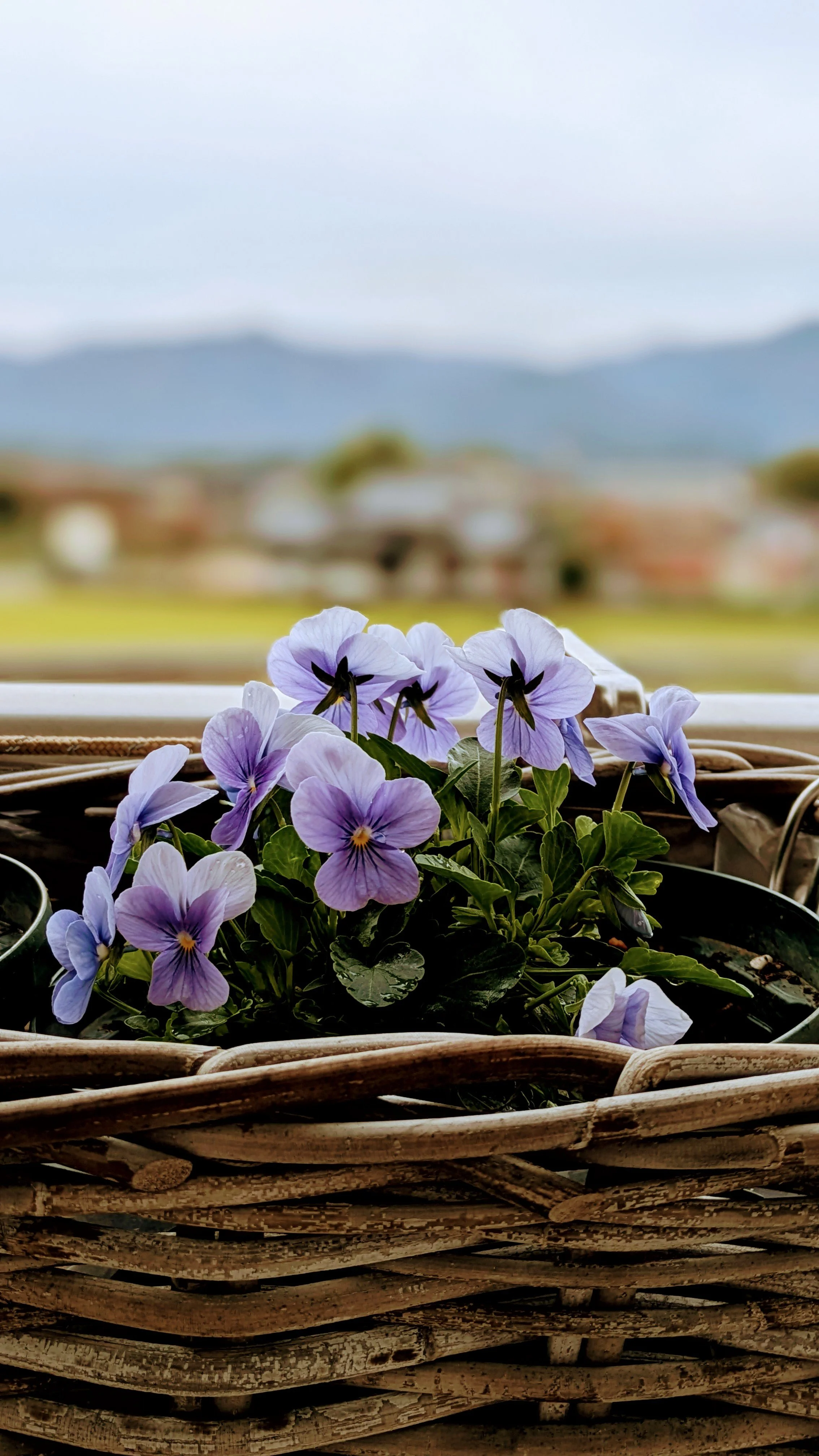 モノで埋めても、心は埋まらない