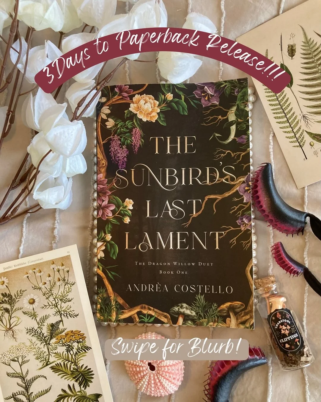 The Sunbird&rsquo;s Last Lament is a heart-wrenching romantasy with 

💜 FMC with dark botanical magic
🐉 Dragon trainer MMC (with glasses)
💜 Forbidden Love
🐉 &ldquo;I did this to you?&rdquo;
💜 &ldquo;I have no future but you&rdquo;
🐉 Lovers who 