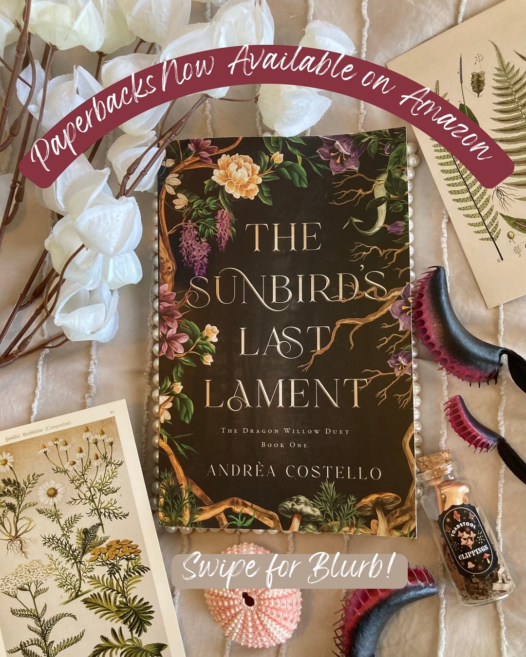 It&rsquo;s finally here! The paperbacks for The Sunbird&rsquo;s Last Lament are available on Amazon! The l!nk is in my b!o!

The Sunbird&rsquo;s Last Lament is a heart-wrenching romantasy about a runaway princess with dark botanical magic and her rac