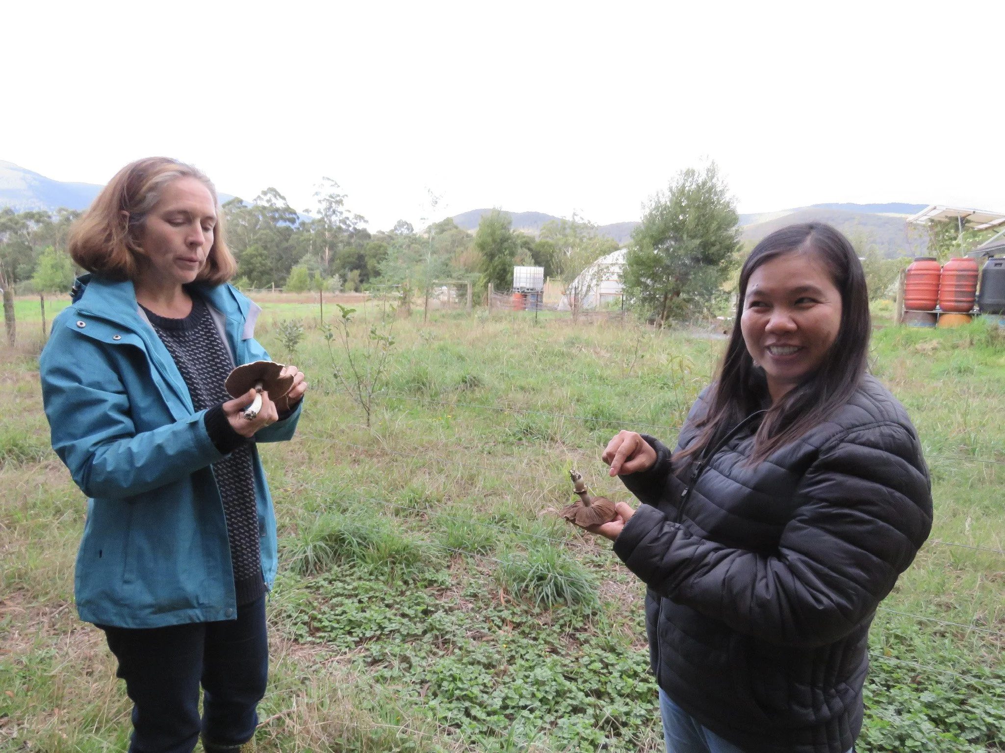 Two women standing outdoors in a grassy field, holding gumnuts and gum leaves, with trees and hills in the background.