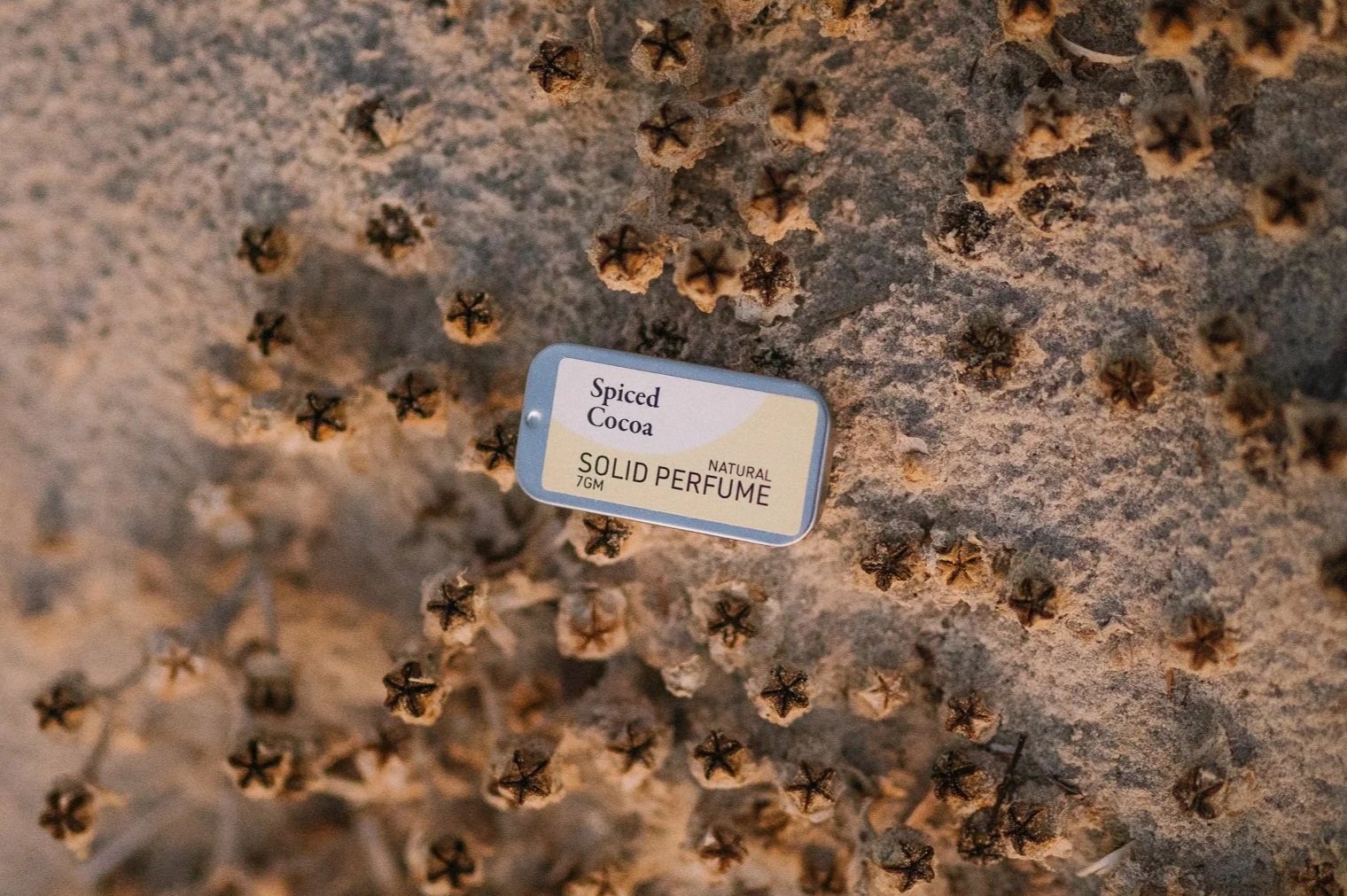 A rock with dried star-shaped seed pod, in the centre sits a natural solid perfume labeled 'Spiced Cocoa, Natural Solid Perfume, 7g'.