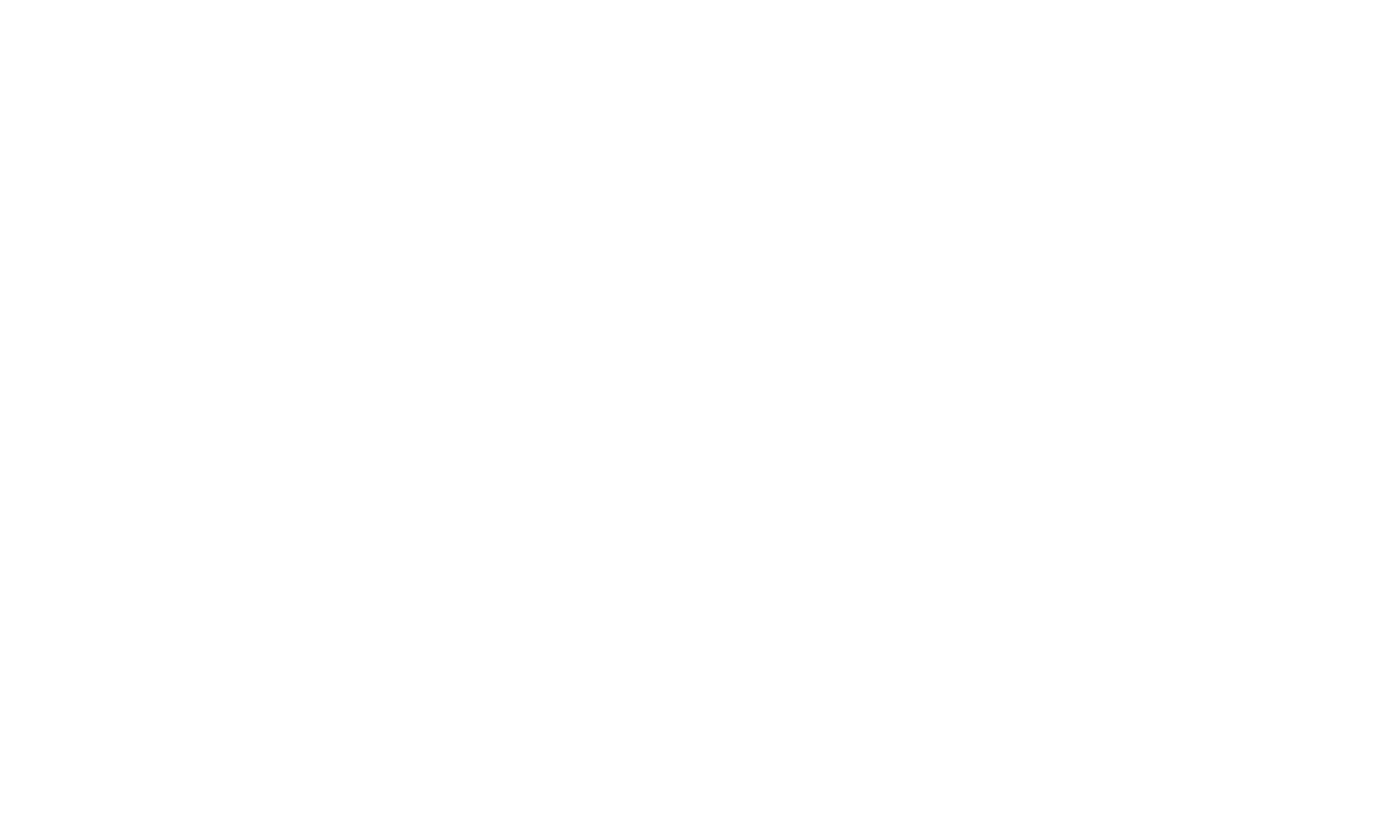 WHITE MITTEN CLEANING SERVICES LLC