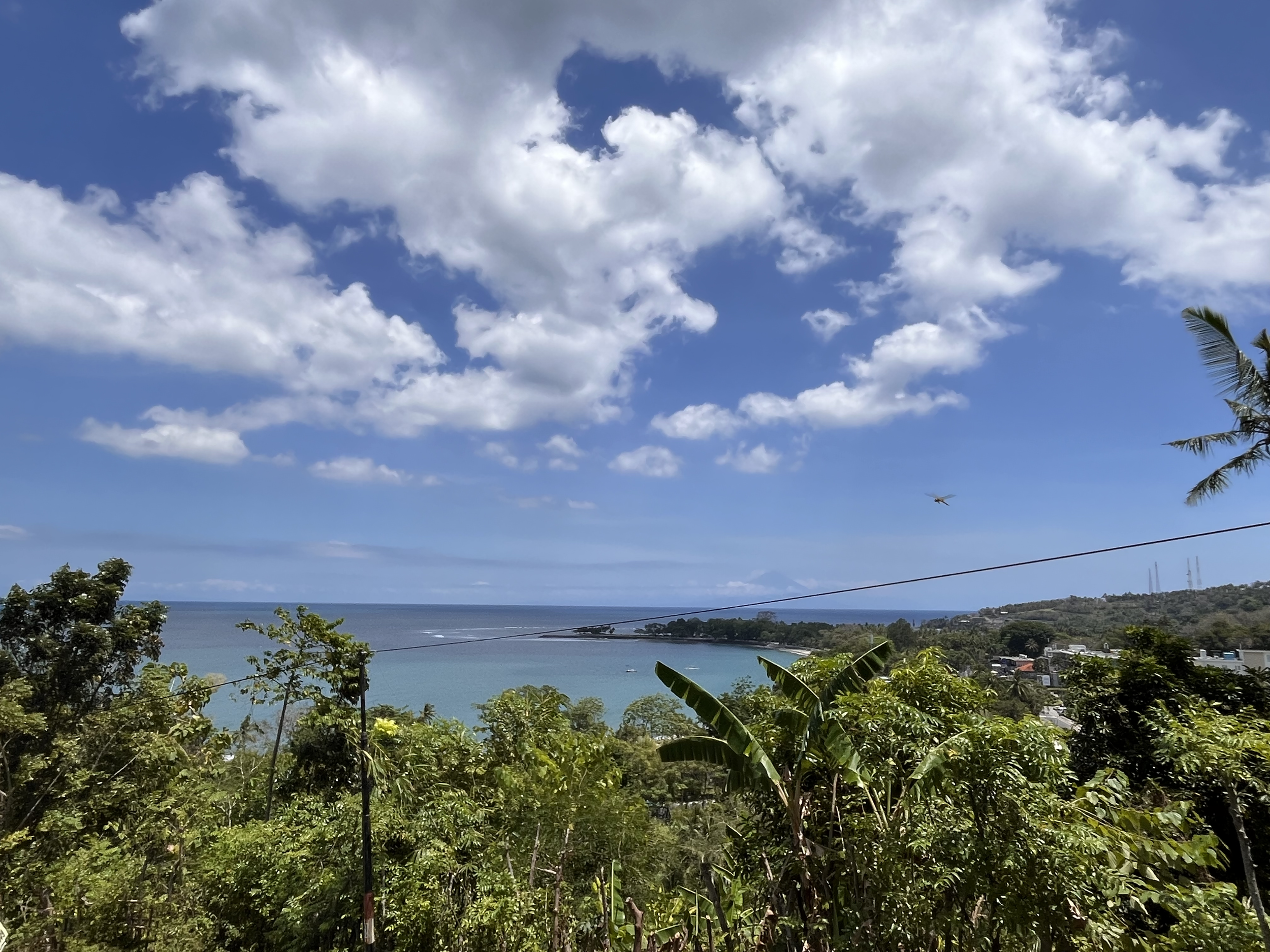 View of a coastal landscape with blue sky and white clouds, green trees in the foreground, and the ocean in the background.