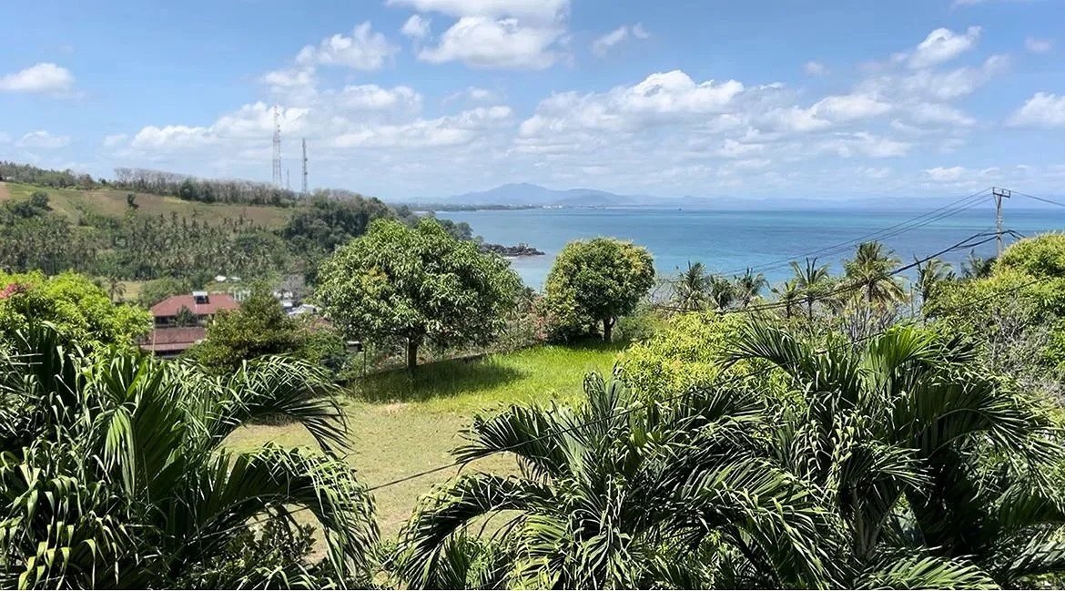 Scenic view of a tropical coastline with green trees, grassy land, and the ocean in every direction.