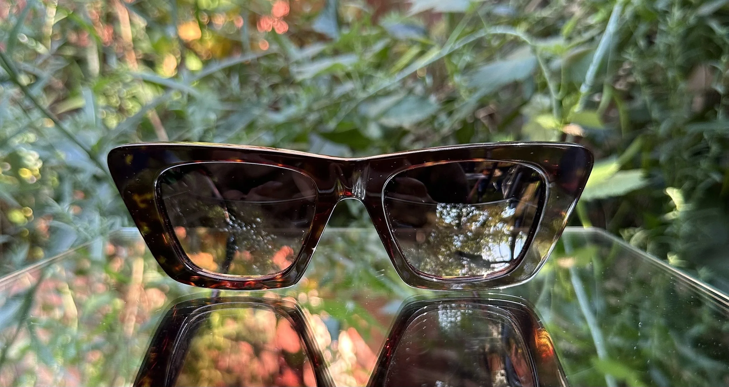 Dick Moby Malagna c.dark tort/brown gradient