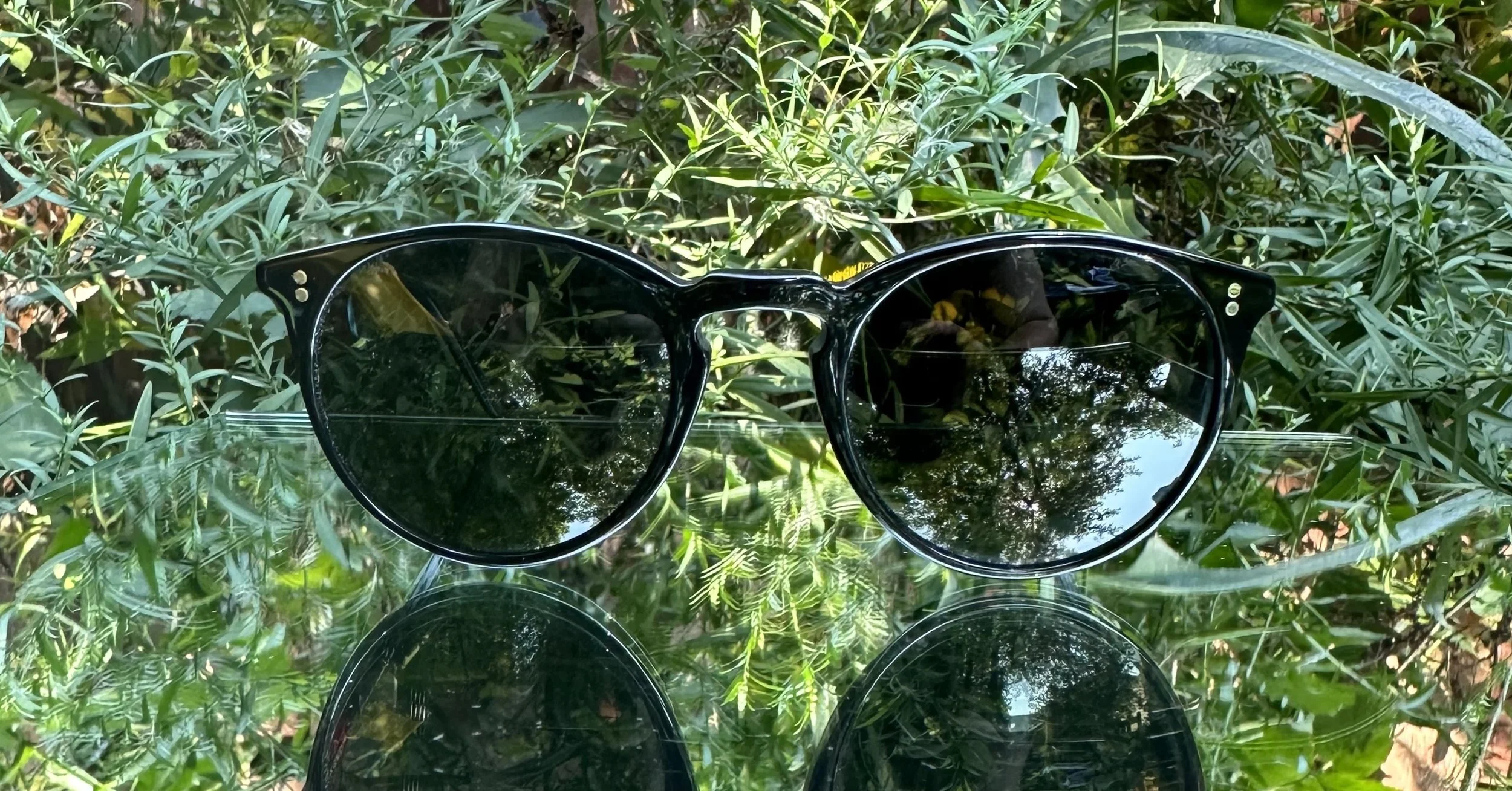 Oliver Peoples O'Malley c.1005/P1