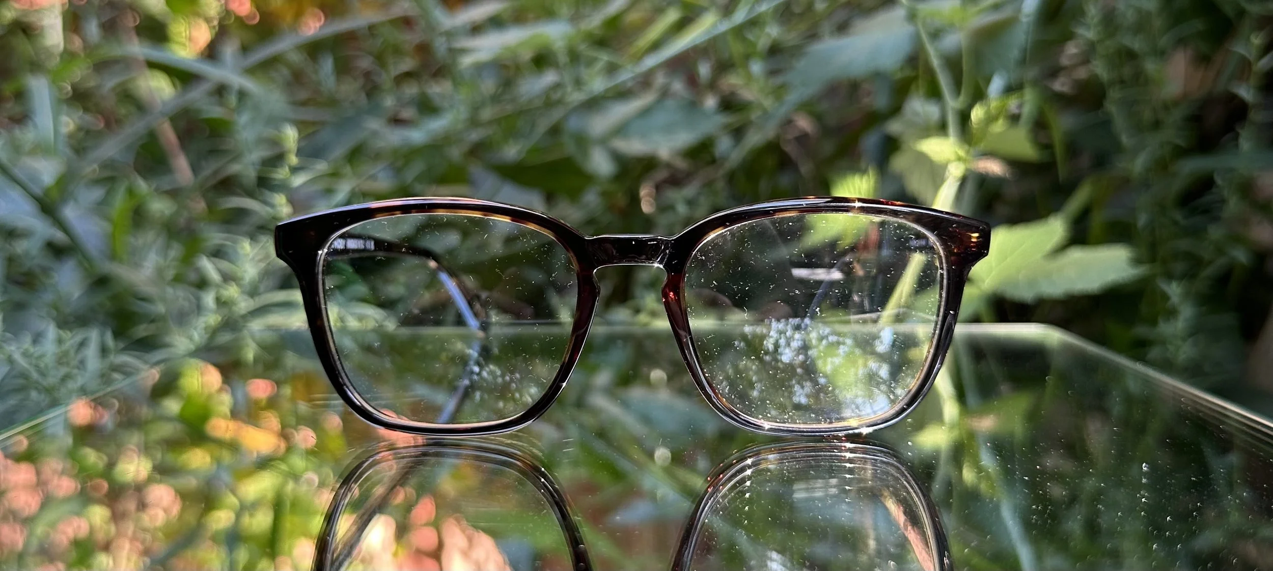 Dick Moby Frankfurt c.dark tortoise