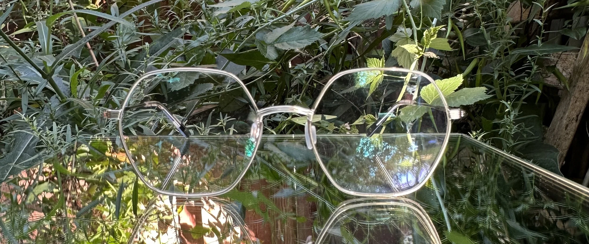 Dick Moby Tangier c.gold