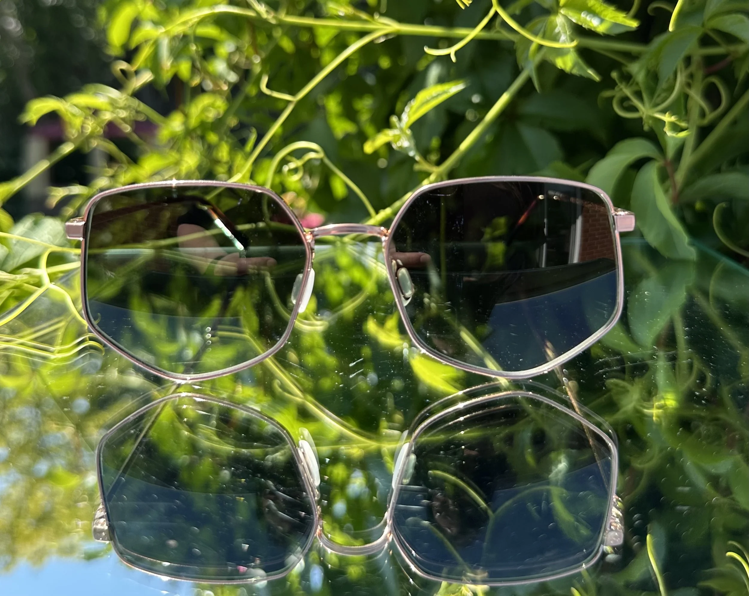 Dick Moby Palermo col.rosegold/g15