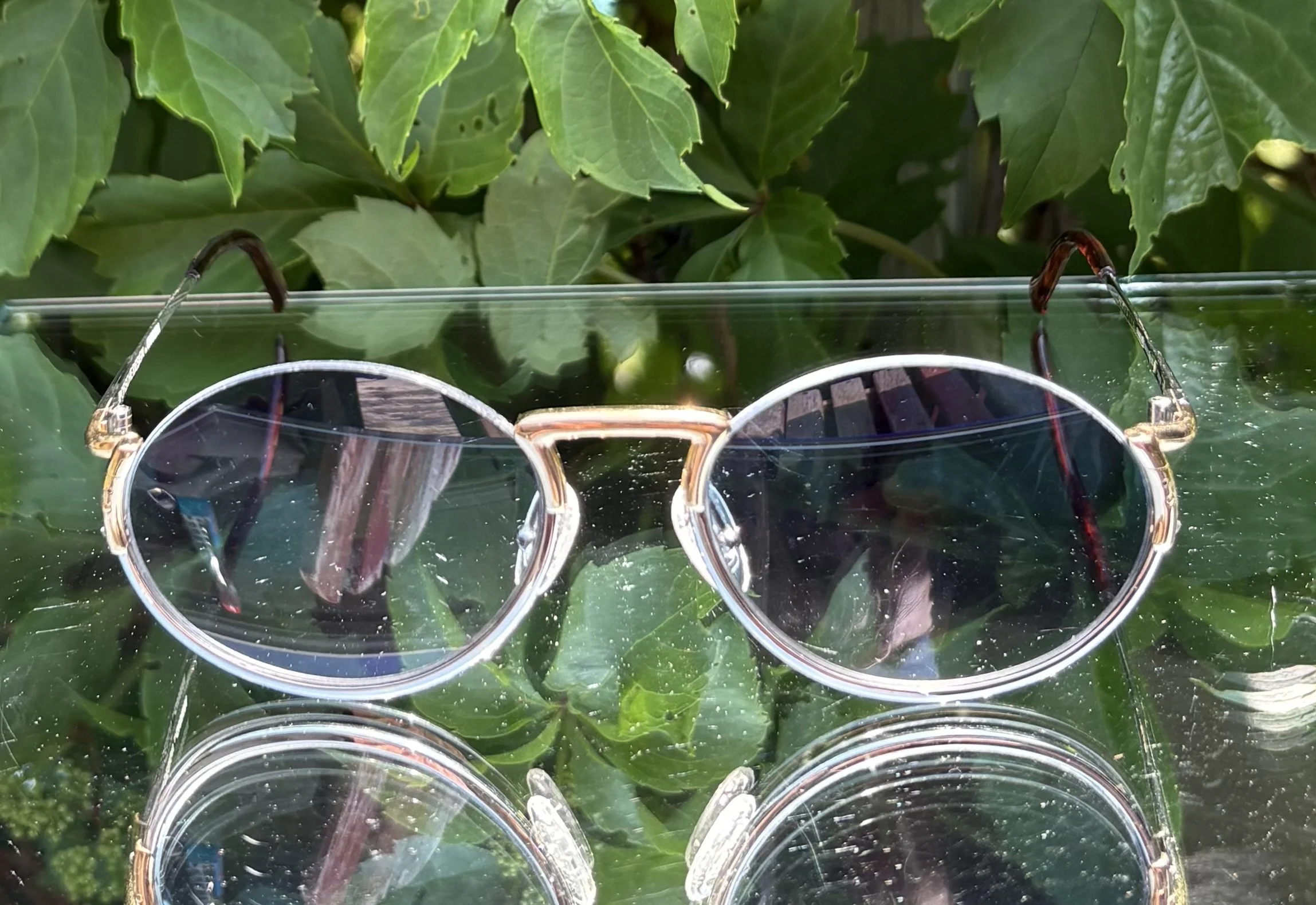 Porche Design x Carrrera Sunglasses