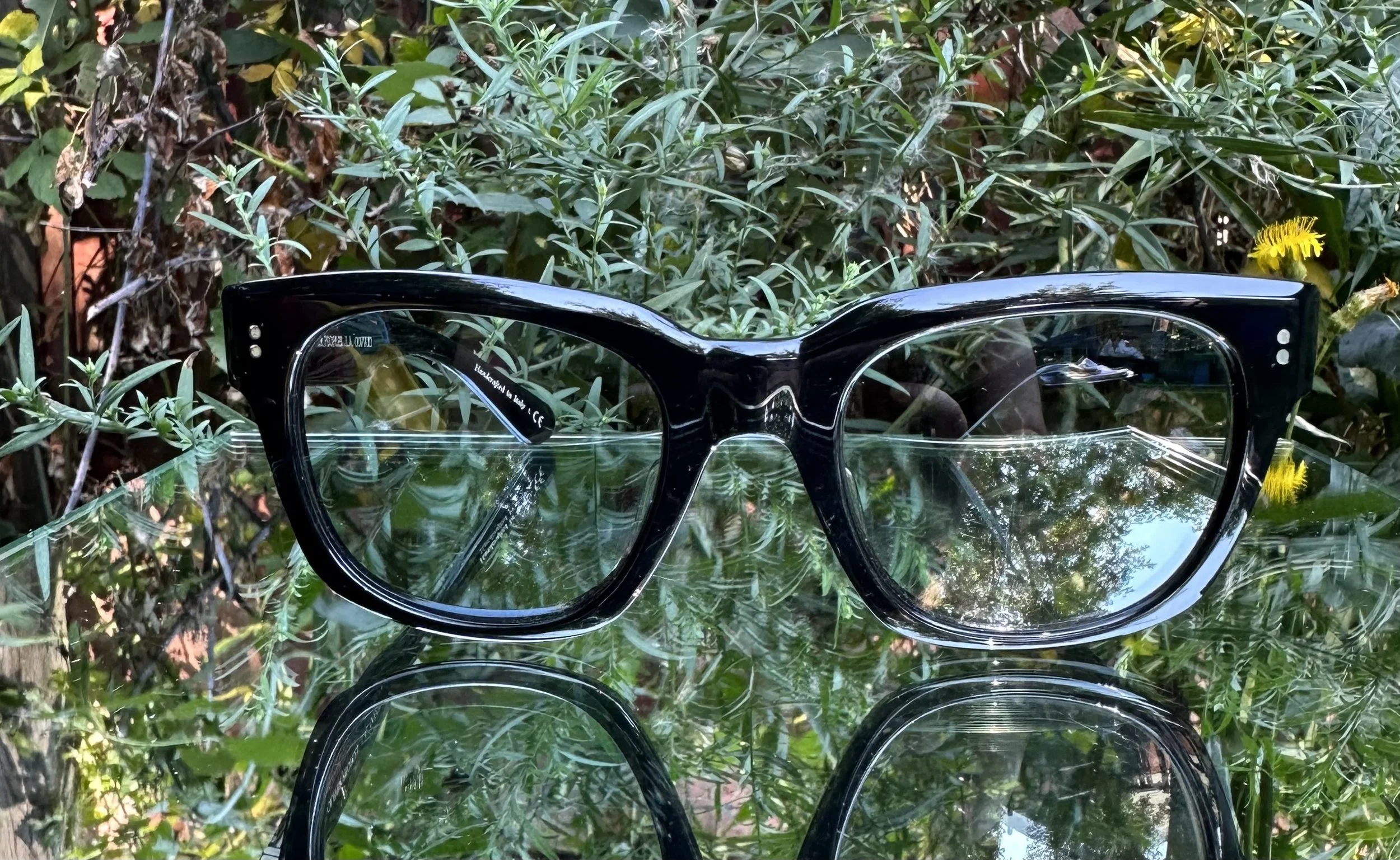 Oliver Peoples Shiller c.1005