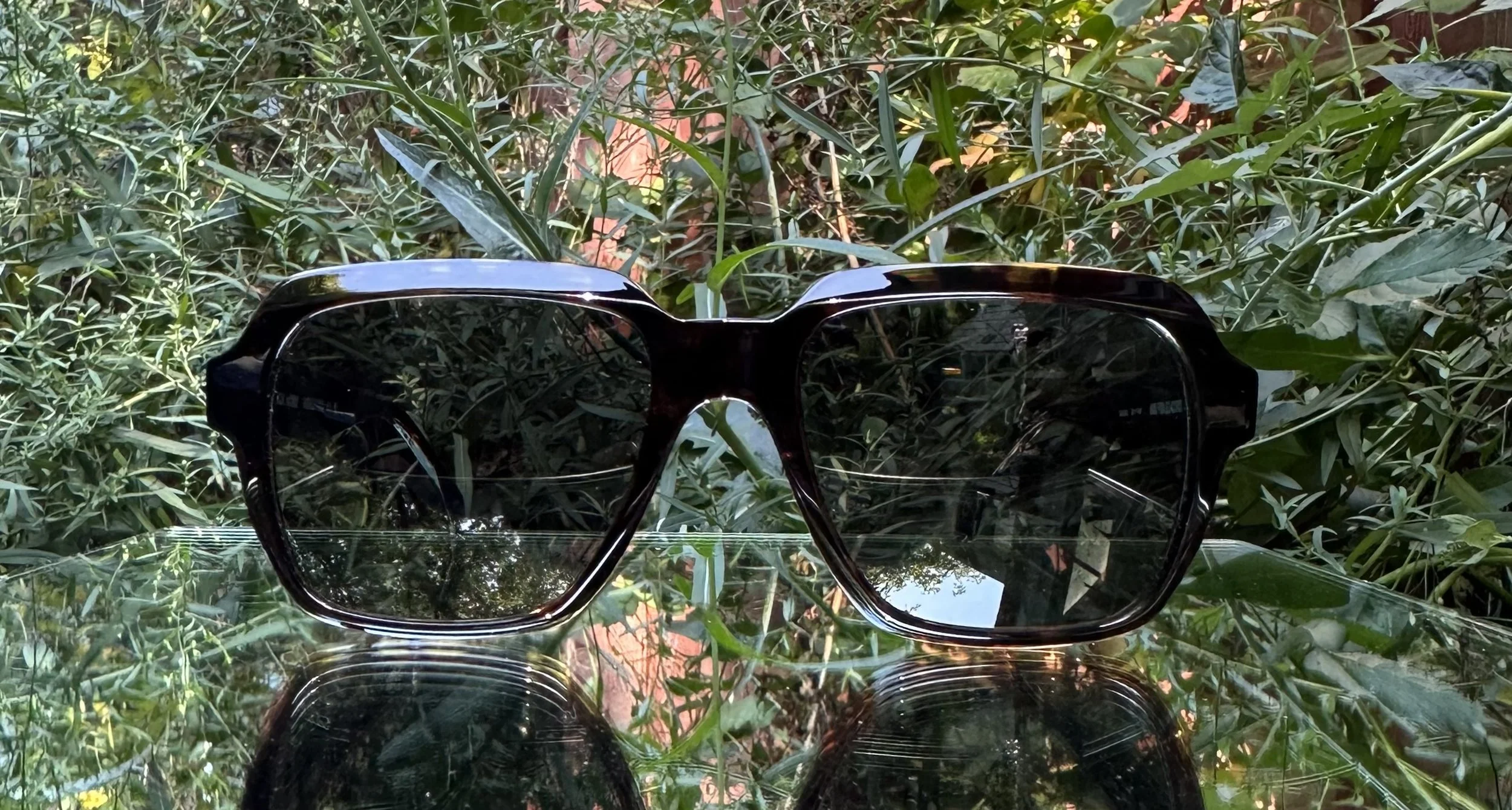 Dick Moby San Sebastian c.dark tortoise/g15