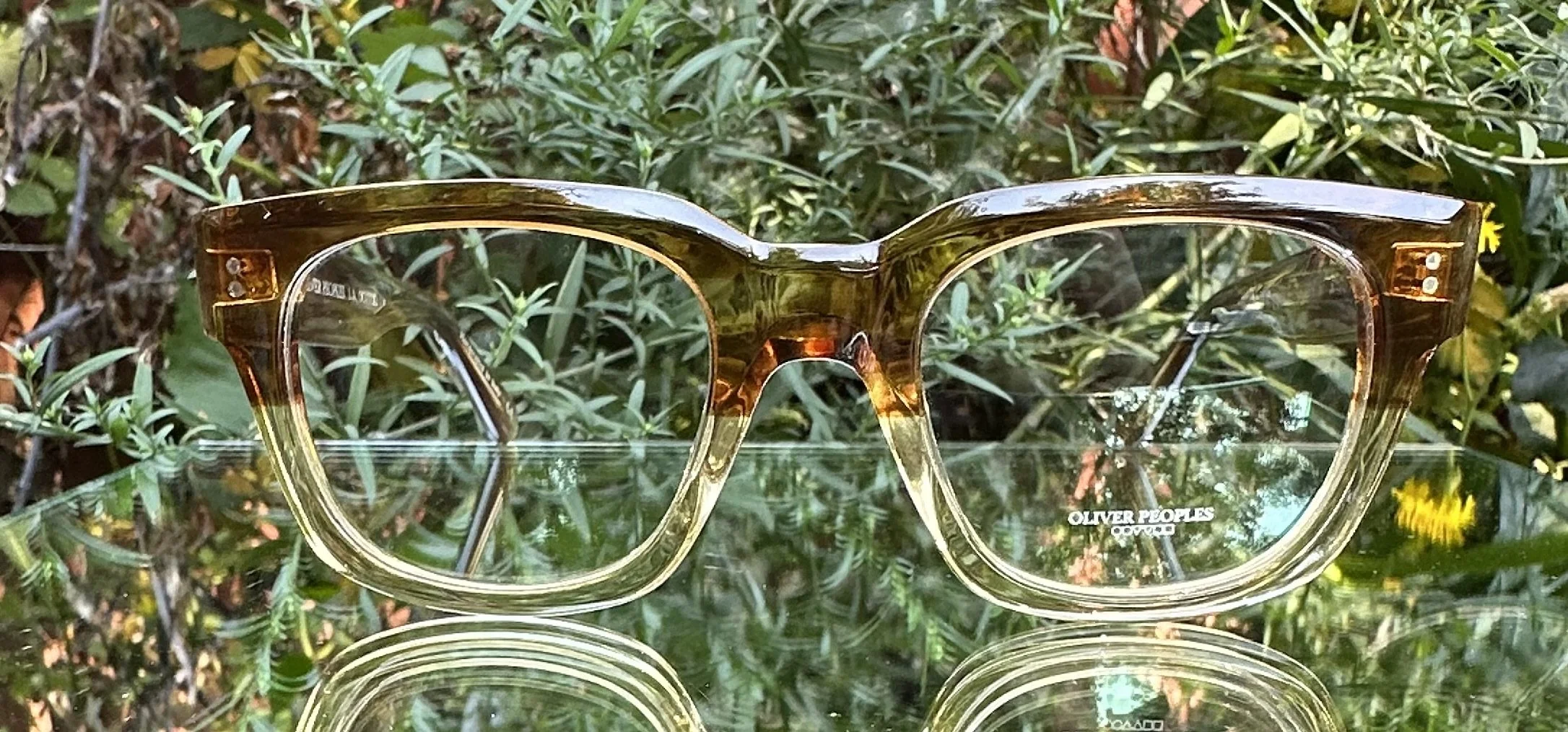 Oliver Peoples Shiller c.1674