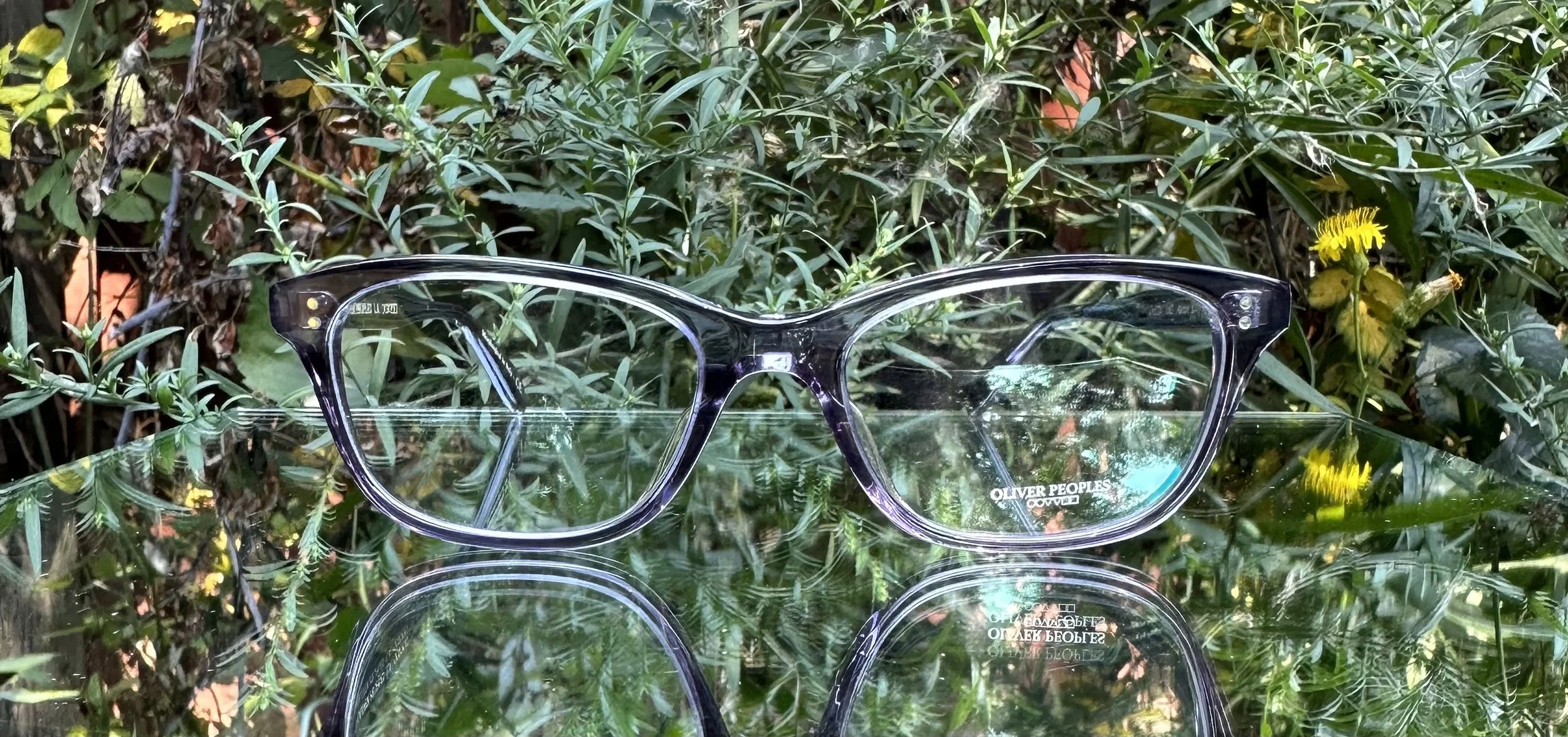 Oliver Peoples Ashton c.1617 Lilac